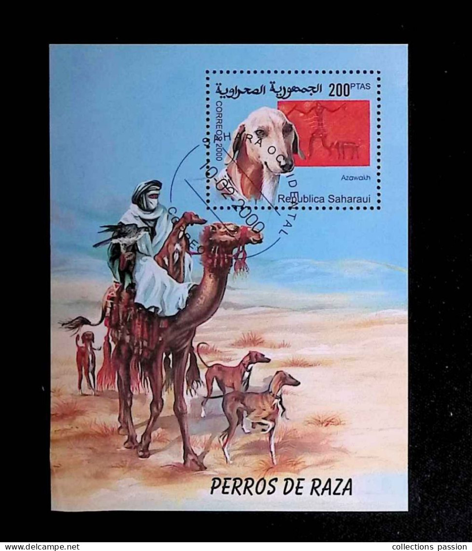 CL, Block, Bloc, Republica Saharaui, Sahara Occidental, 10-02-2000, Chiens, Azawakh, Perros De Raza - Altri - Africa