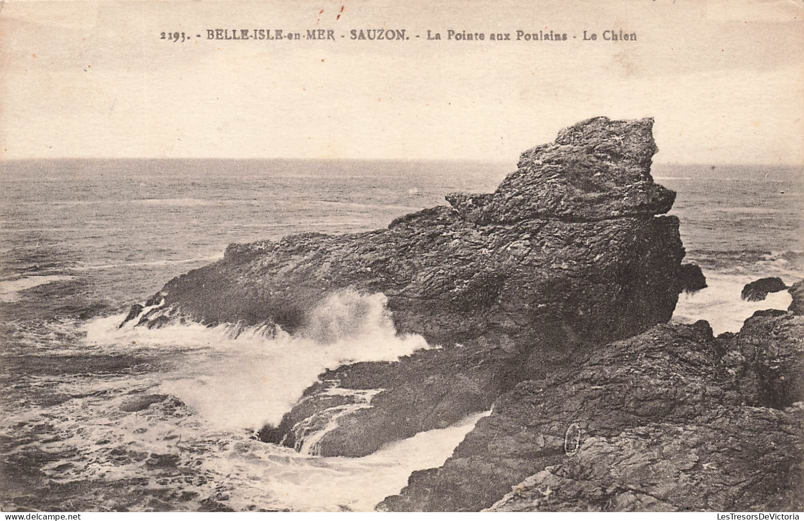FRANCE - Belle Isle En Mer - Sauzon - La Pointe Aux Poulains - Le Chien - Carte Postale Ancienne - Belle Ile En Mer