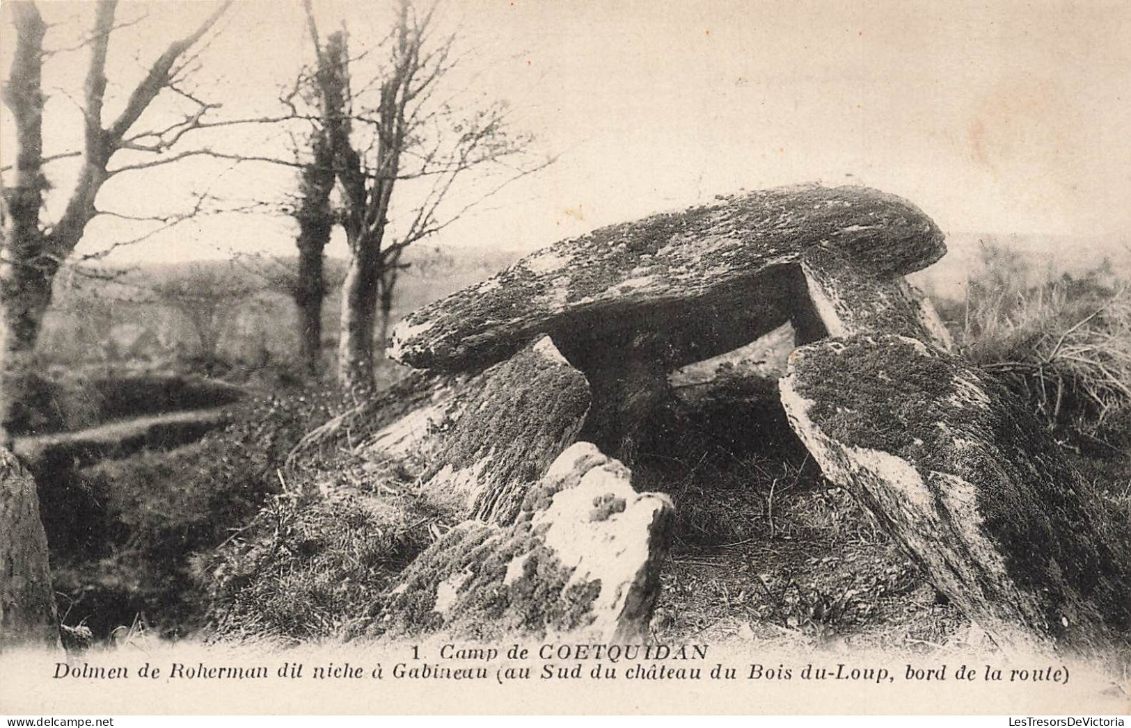 FRANCE - Camp De Coëtquidan - Dolmen De Roherman Dit Niche à Gabineau (au Sud Du Château ) - Carte Postale Ancienne - Guer Coetquidan