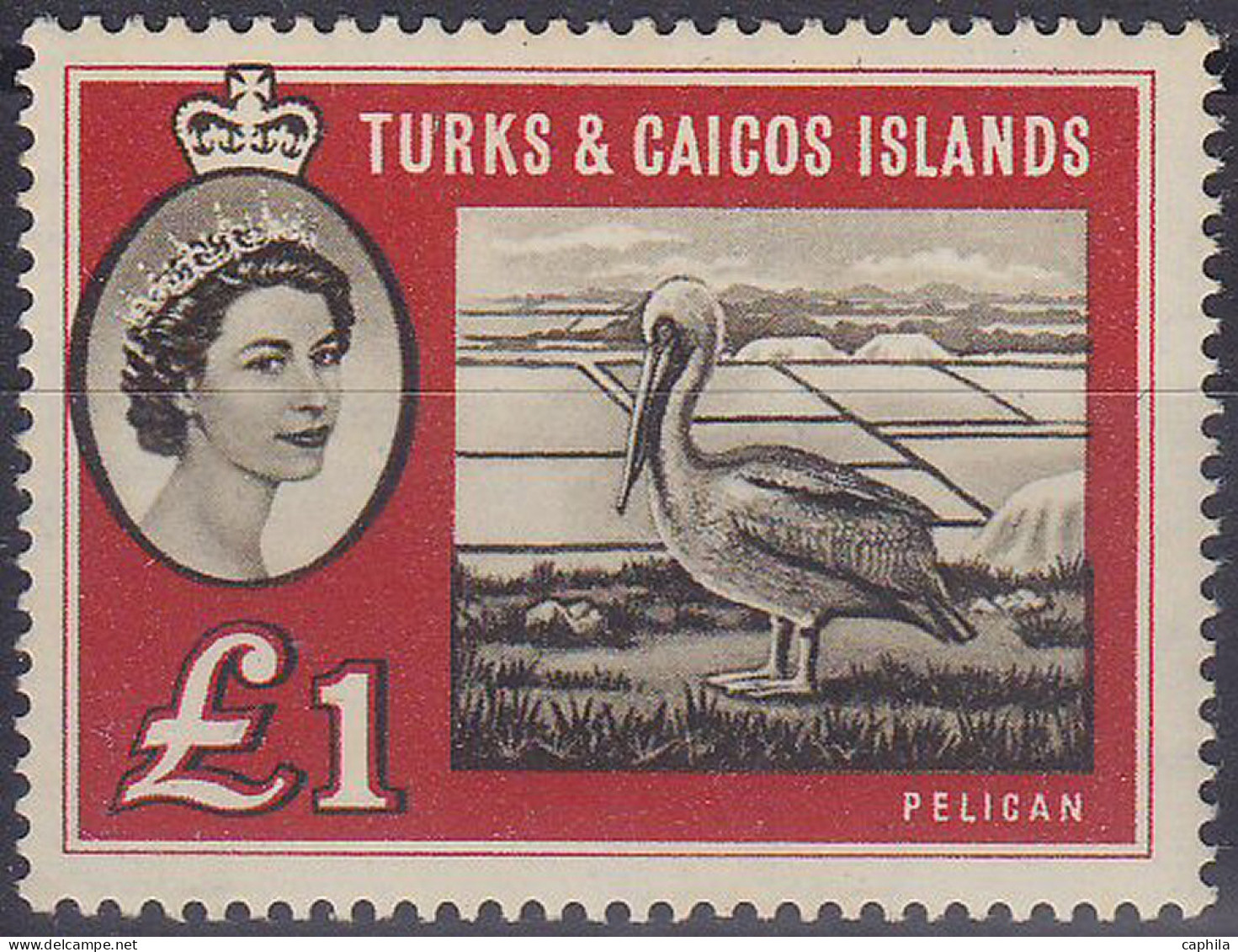 TURKS ET CAIQUES * - 176A - PELICAN - Cote : 50 € - Turks & Caicos (I. Turques Et Caïques)