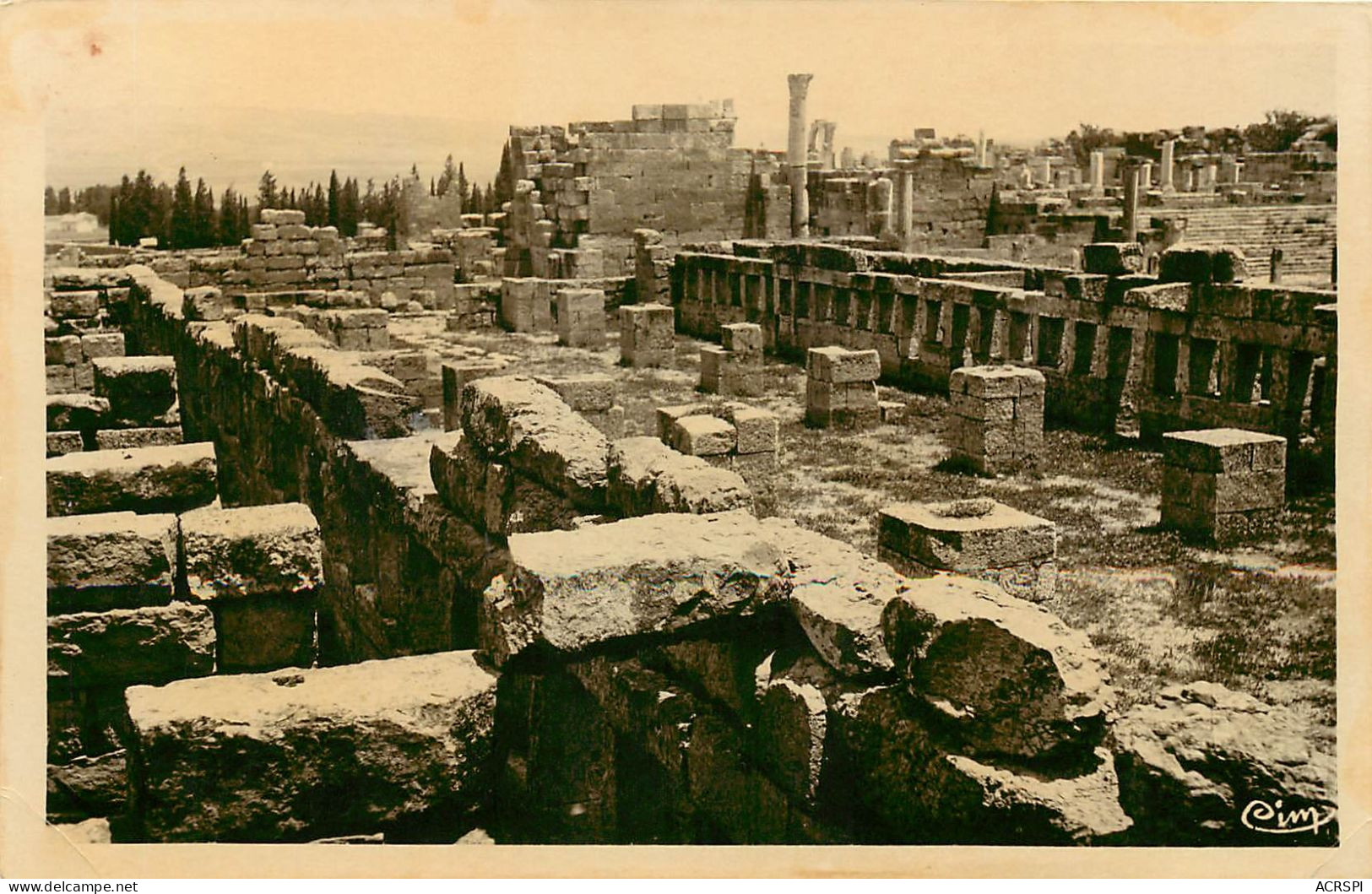 Algerie  Tebessa Ruines  Ecuries Romaines Coll Onnis CheffaI Ben Ahmes  Commercant  Edition Rare 14  KEVREN619 - Tebessa