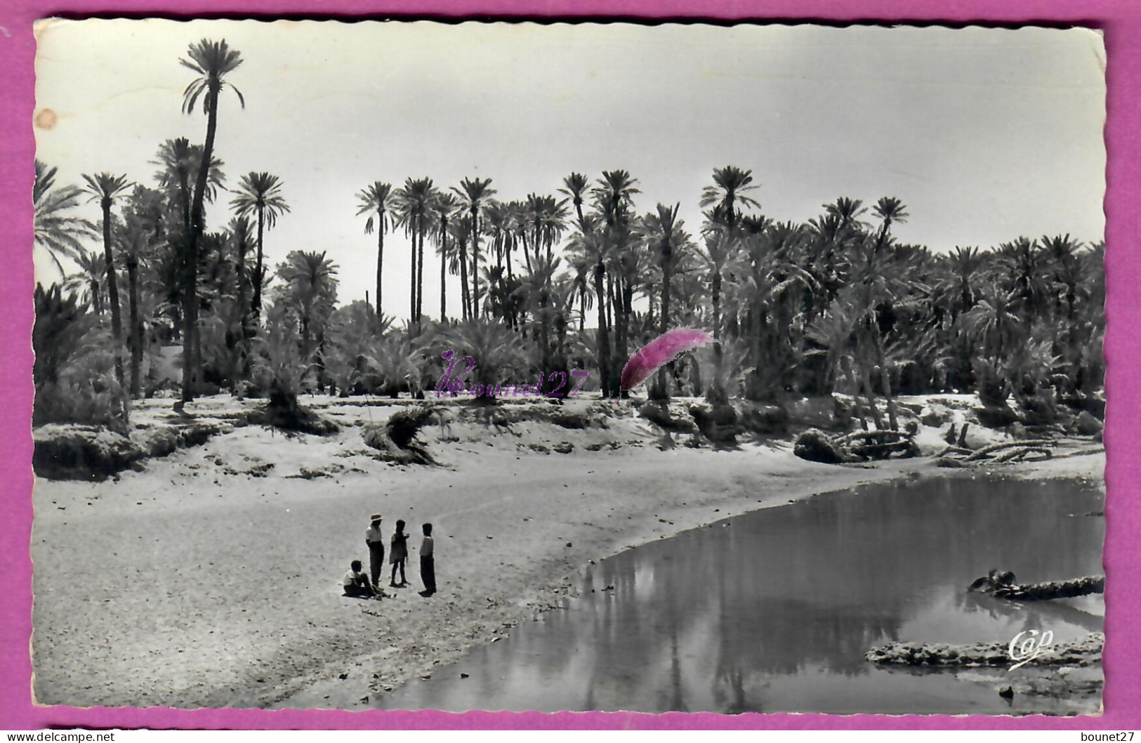 CPSM - ALGERIE COLOMB BECHAR - L'Oued Et La Palmeraie Animé Sur La Plage Palmier - El-Oued