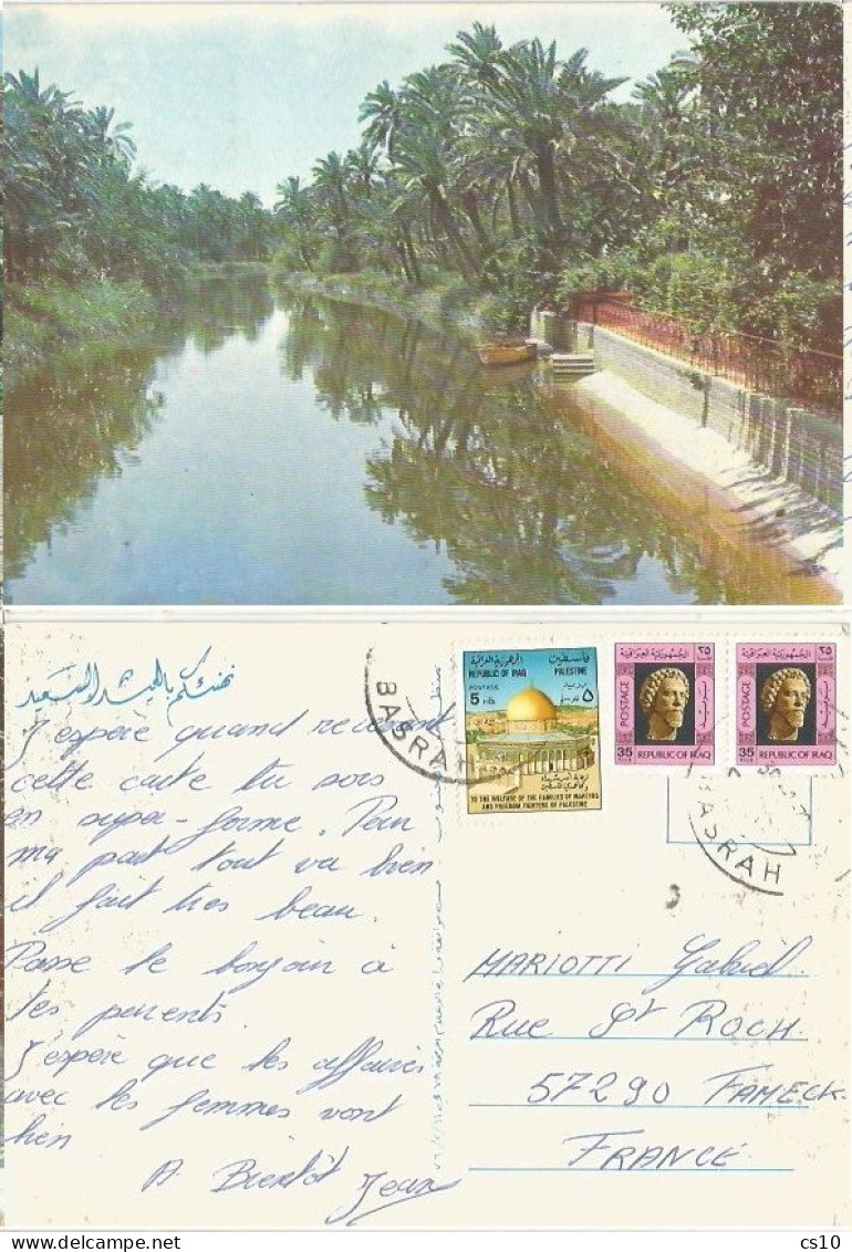 Iraq Irak Palmtrees In Basrah Near By The River - #2 Pcard Nicely Used In 1979/1985 With Good Frankings - Iraq