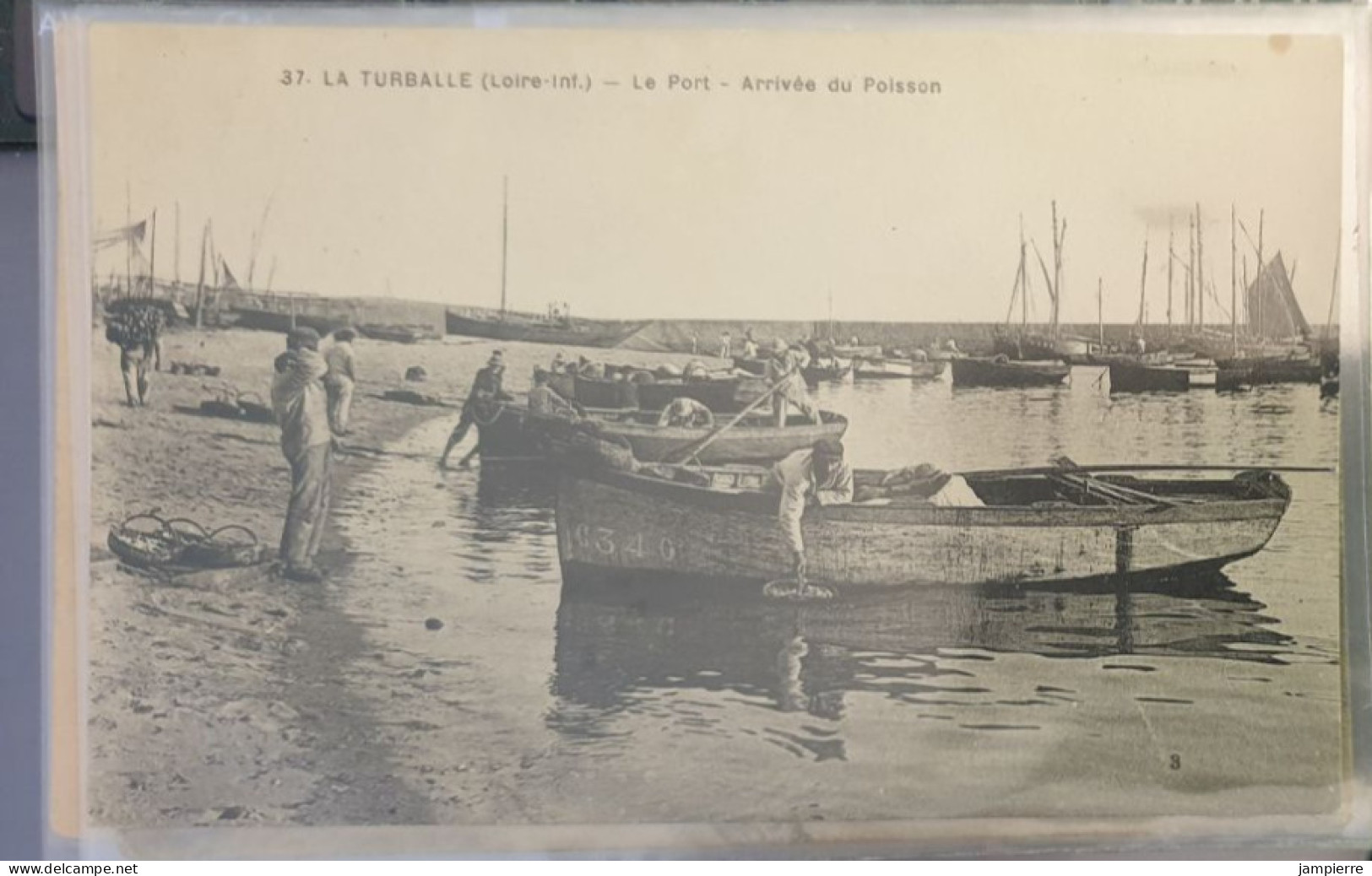 37. La Turballe (Loire-Inf.) - Le Port - Arrivée Du Poisson - La Turballe