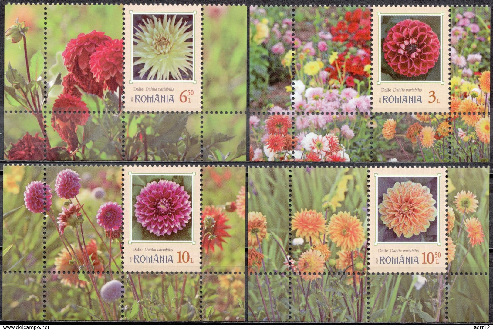 2022, Romania, Dahlias, Flowers, 4 Stamps+Label M2, MNH(**), LPMP 2390 - Neufs