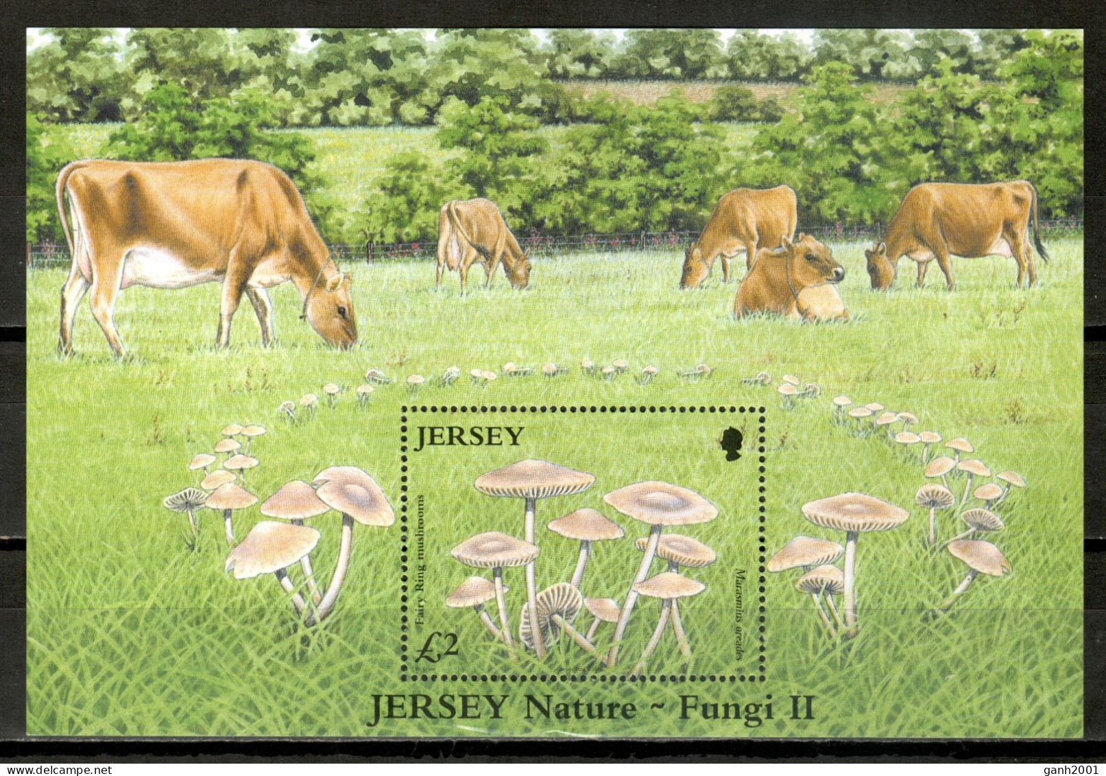 Jersey 2005 / Mushrooms MNH Fungi Champignons Setas Pilze / Lh18  5-20 - Pilze