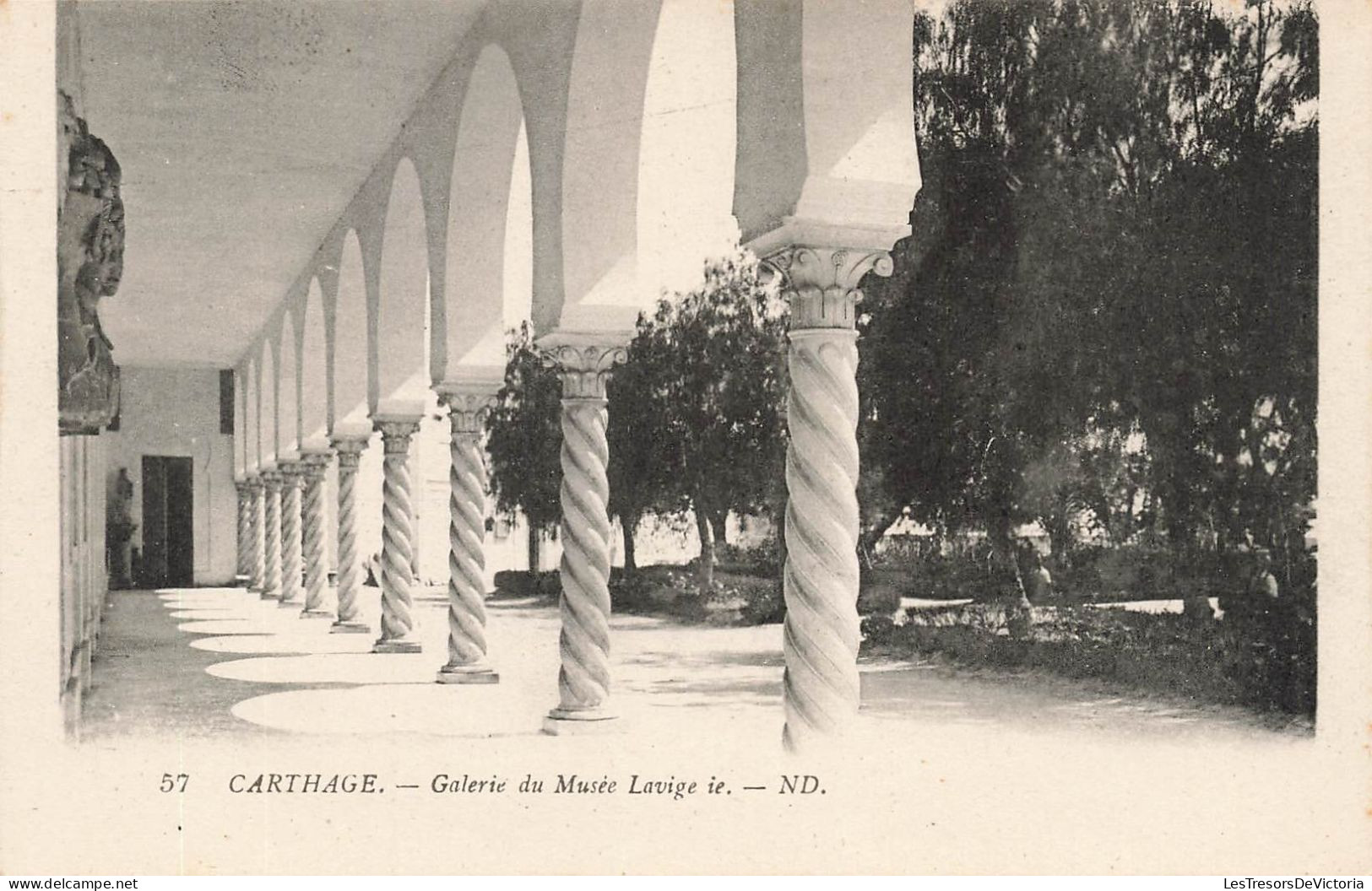 TUNISIE - Carthage - Vue Sur La Galerie Du Musée Lavige Ie - N D - Vue Générale - Carte Postale Ancienne - Tunisie