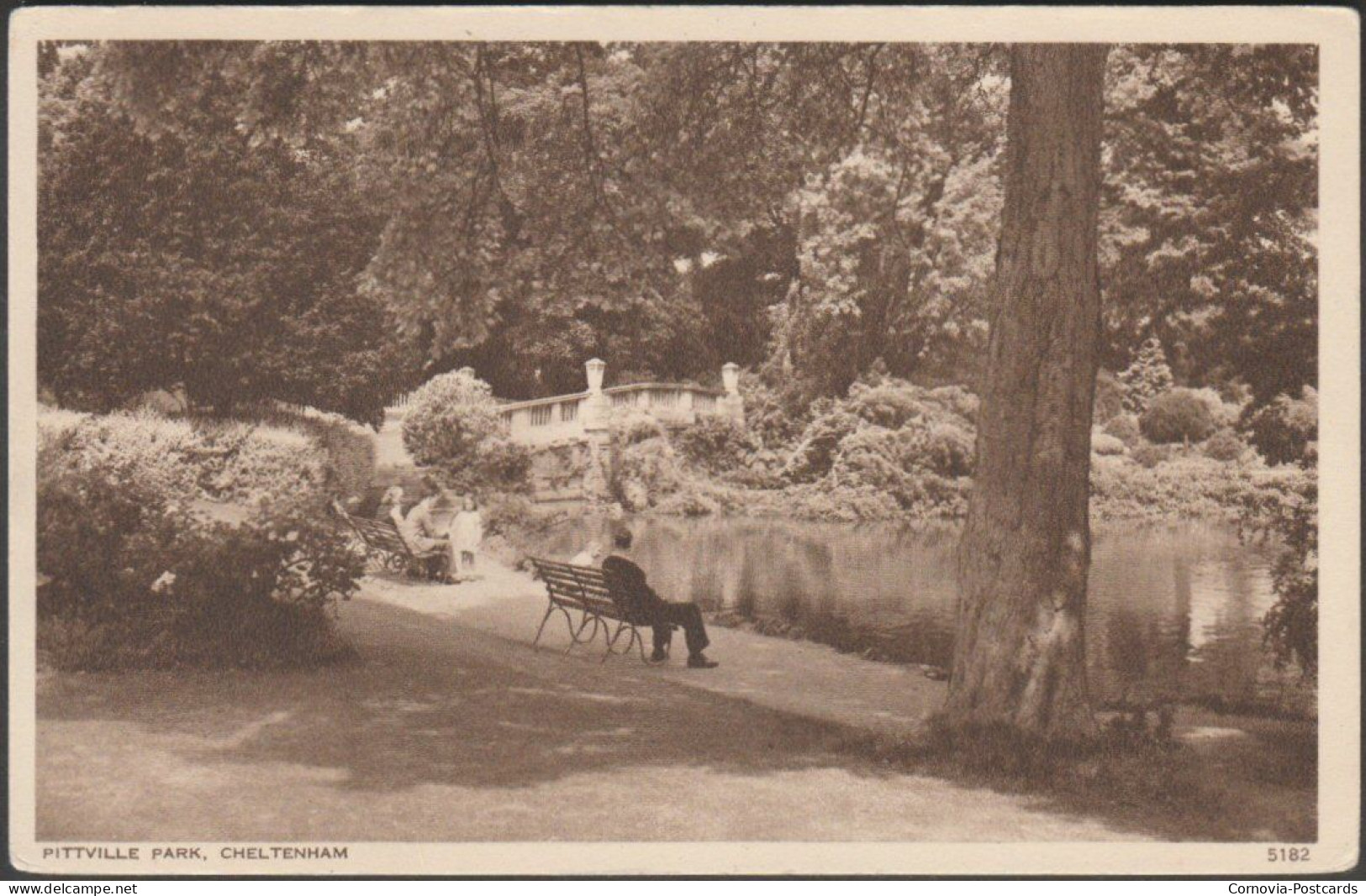 Pitville Park, Cheltenham, Gloucestershire, C.1940s - Photo Precision Postcard - Cheltenham