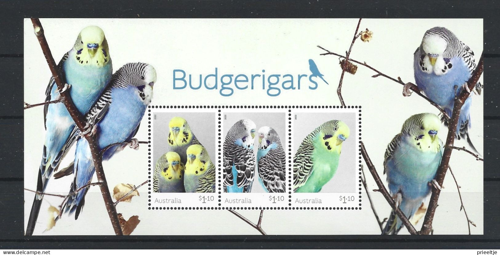 Australia 2022 Budgerigars S/S Y.T. BF 339  ** - Blocchi & Foglietti