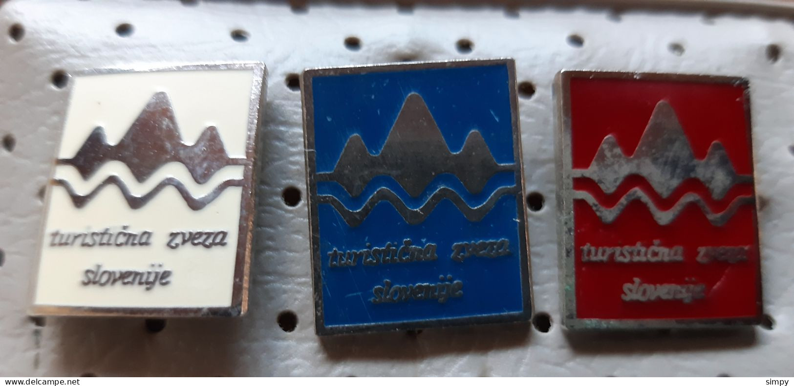 Tourism Association Of Slovenija Slovenia Pins - Associations