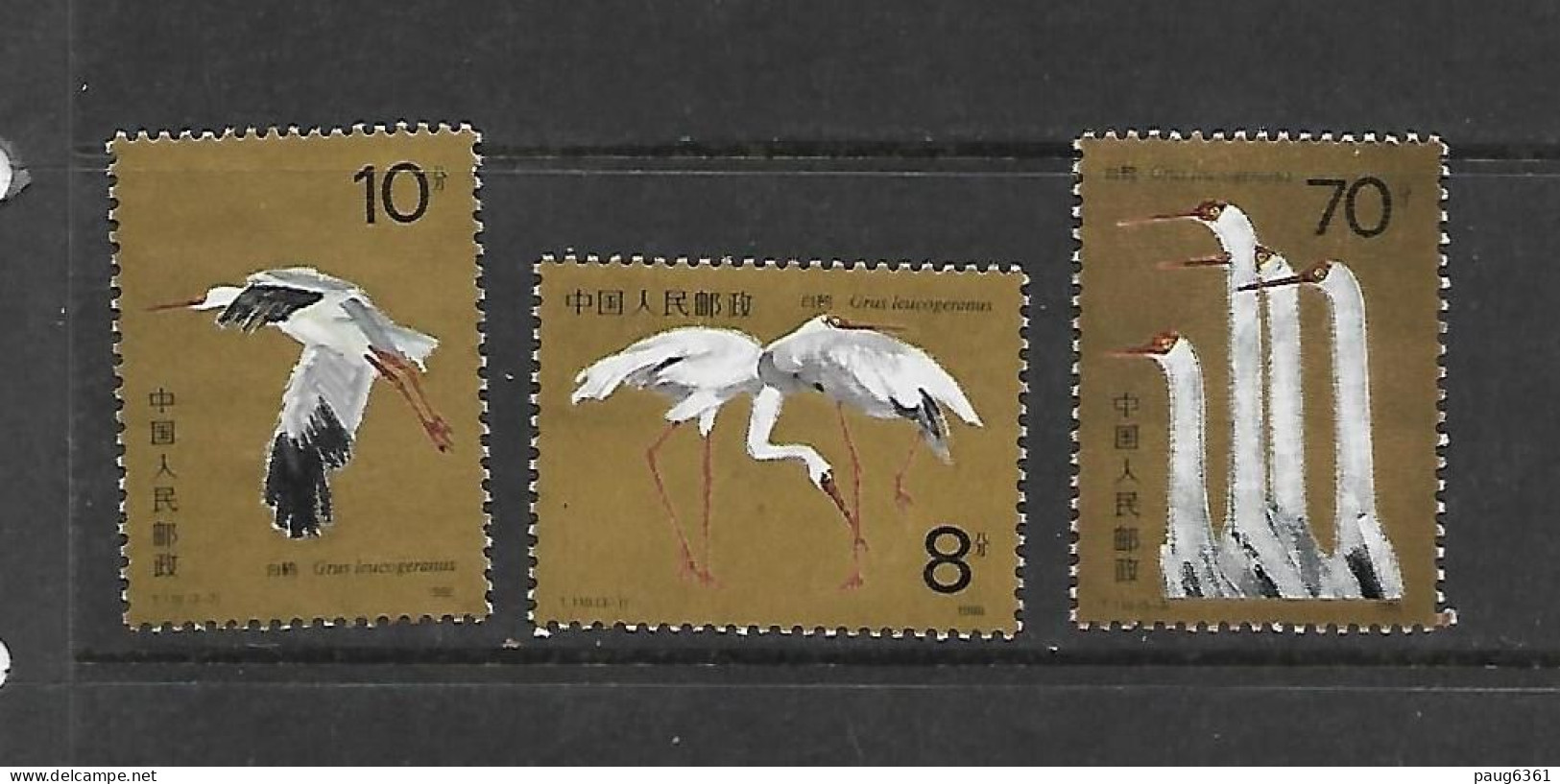 CHINE 1986 CIGOGNES YVERT  N°2787/2789  NEUF MNH** - Storks & Long-legged Wading Birds