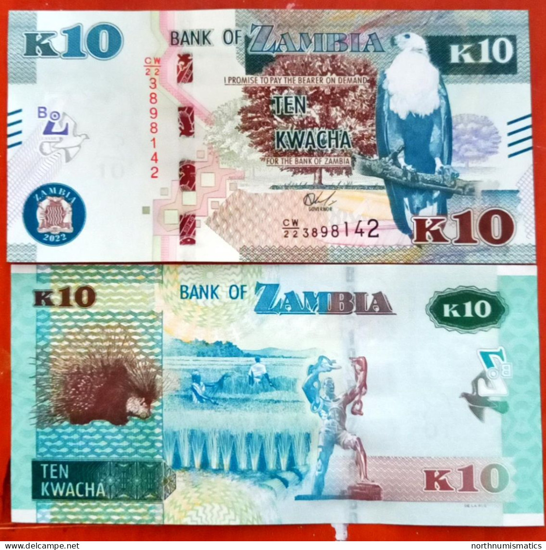 Zambia 10 Kwacha Unc - Zambie