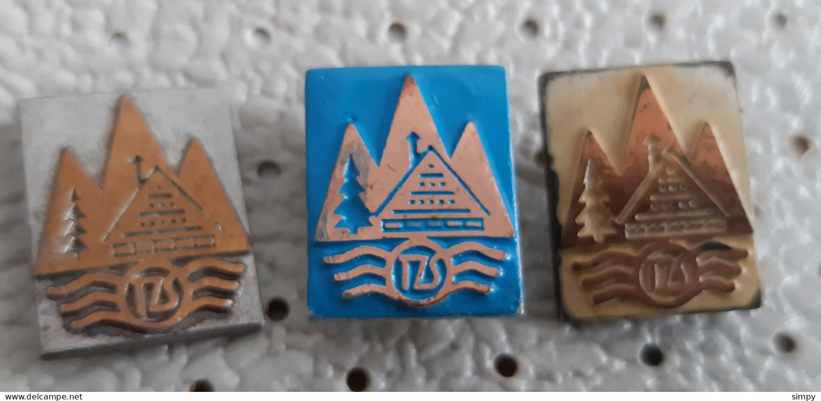 Tourism Association Of Slovenija TZS Turisticna Zveza Slovenije Slovenia Pins - Associations