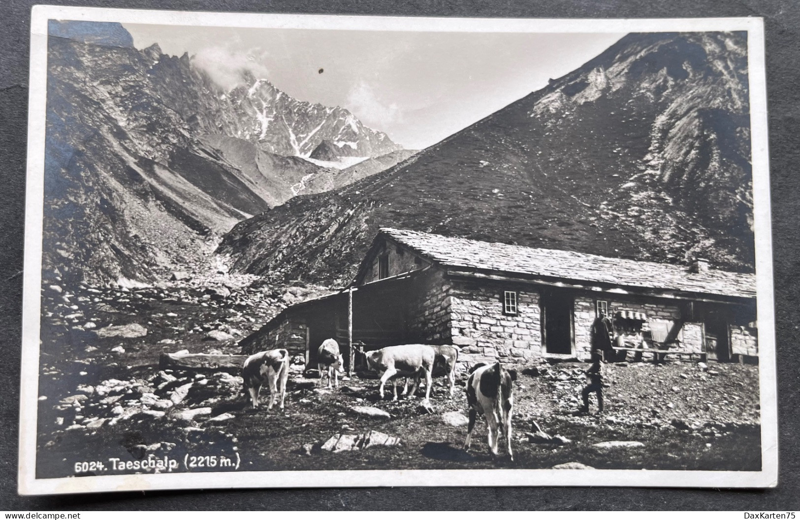 Taeschalp/ Feldpoststempel/ Fotokarte - Täsch