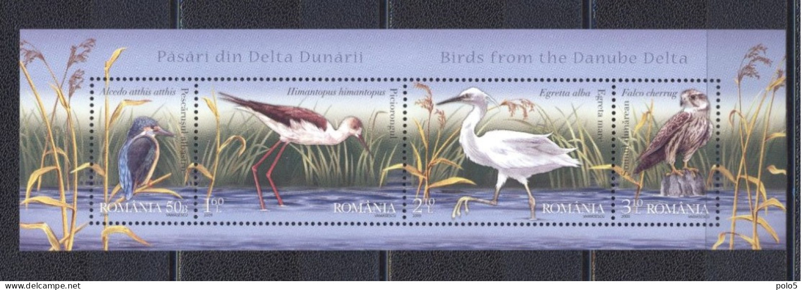 Romania 2009-Birds Of The Danube Delta M/Sheet - Unused Stamps