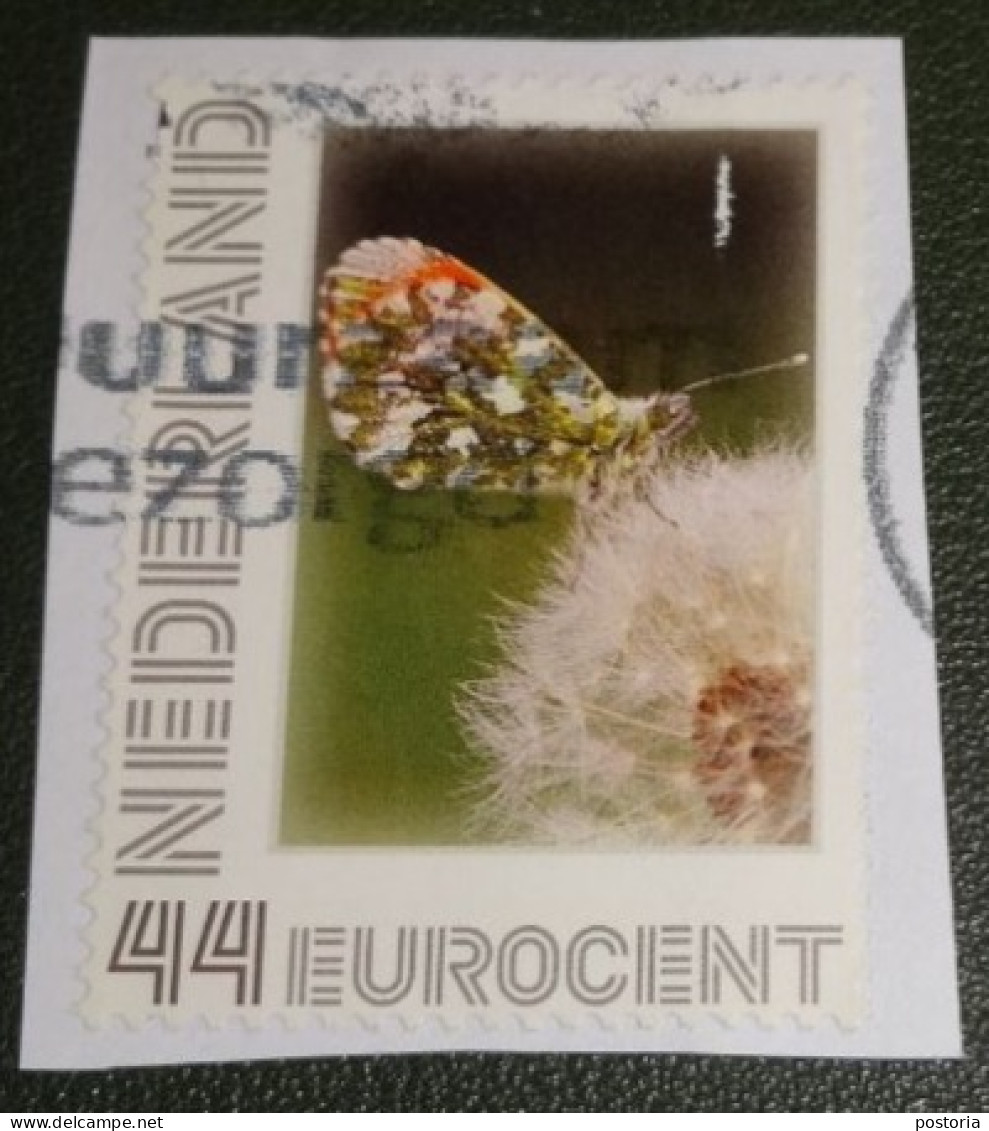 Nederland - NVPH - 2563-Ae58 - 2009 - Persoonlijke Gebruikt Onafgeweekt - Used On Paper - Vlinders - Veenbesparelmoer - Personnalized Stamps