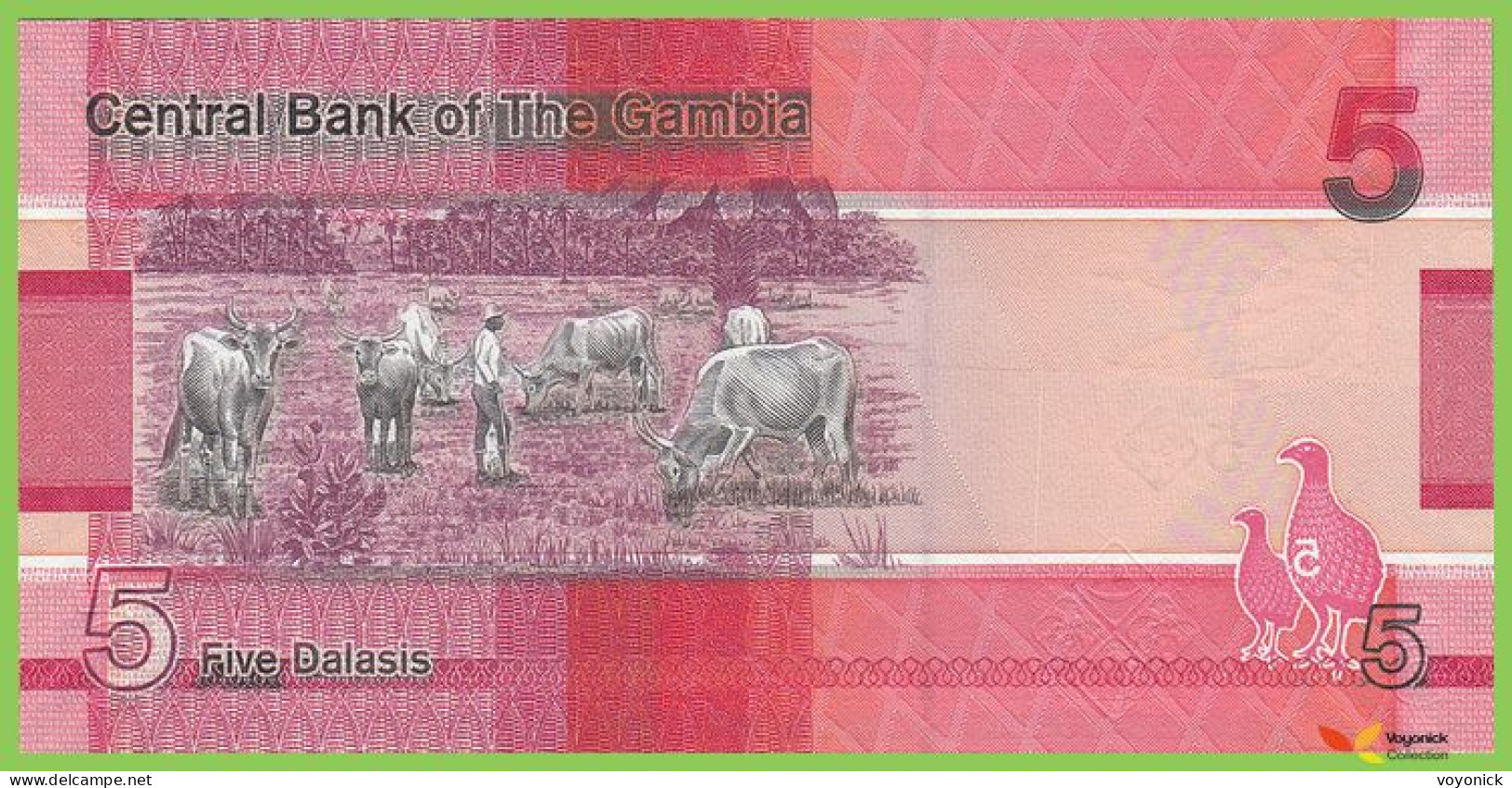 Voyo GAMBIA 5 Dalasis 2020 P37b B235b B UNC - Gambia