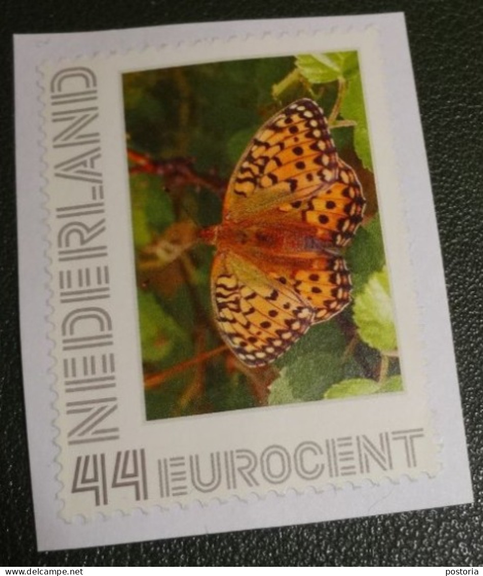 Nederland - NVPH - 2563-Ae28 - 2009 - Persoonlijke Gebruikt Onafgeweekt - Used On Paper - Vlinders - Grote Parelmoer - Personnalized Stamps