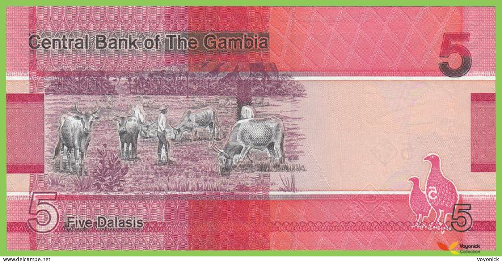 Voyo GAMBIA 5 Dalasis 2019 P37a B235a A UNC - Gambie