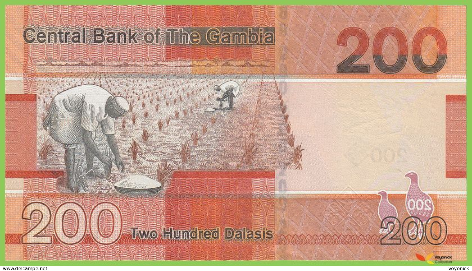 Voyo GAMBIA 200 Dalasis 2020 P42b B240b D UNC - Gambie