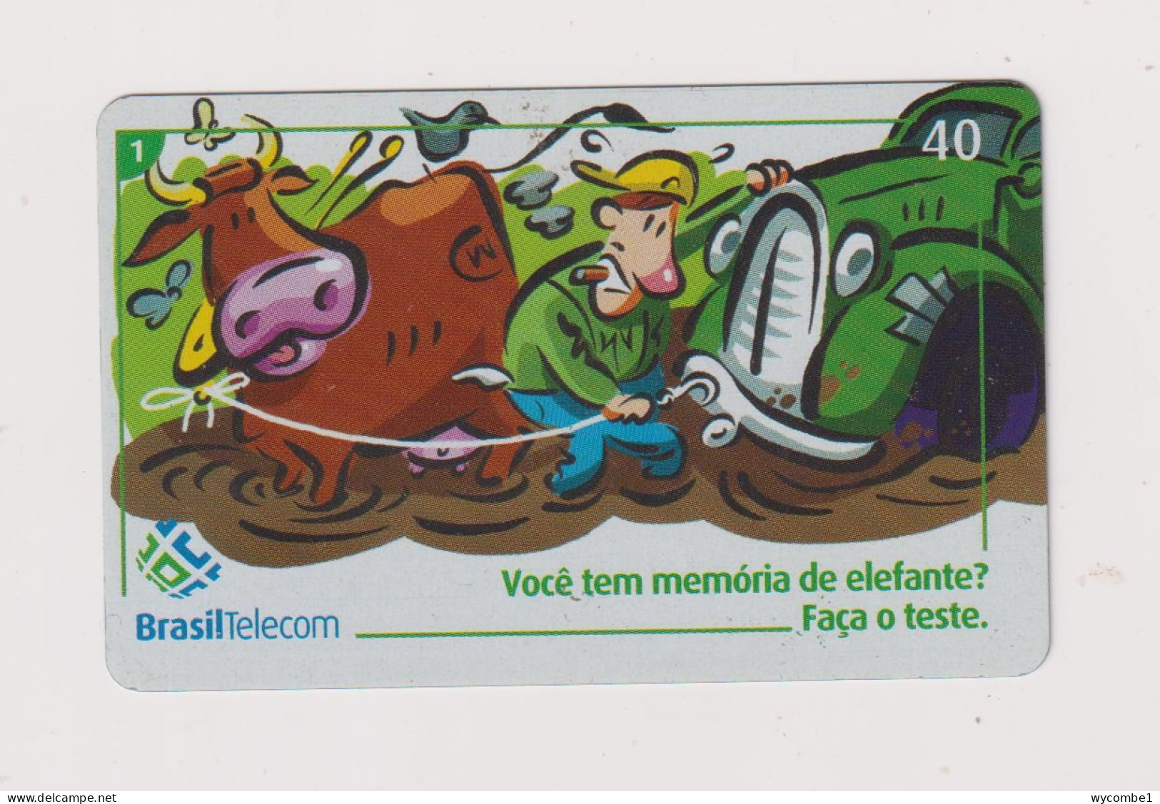 BRASIL -  You Have The Memory Of An Elephant Inductive  Phonecard - Brazil