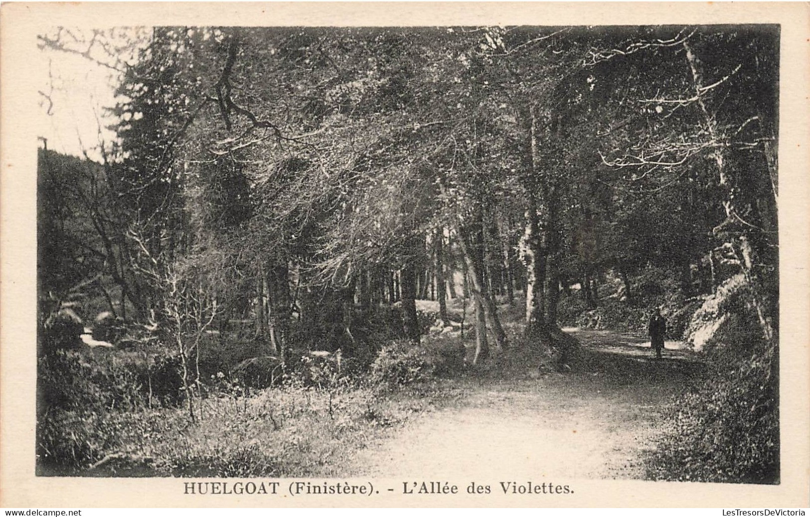 FRANCE - Huelgoat (Finistère) - Vue Sur L'allée Des Violettes - Vue Générale - Carte Postale Ancienne - Huelgoat