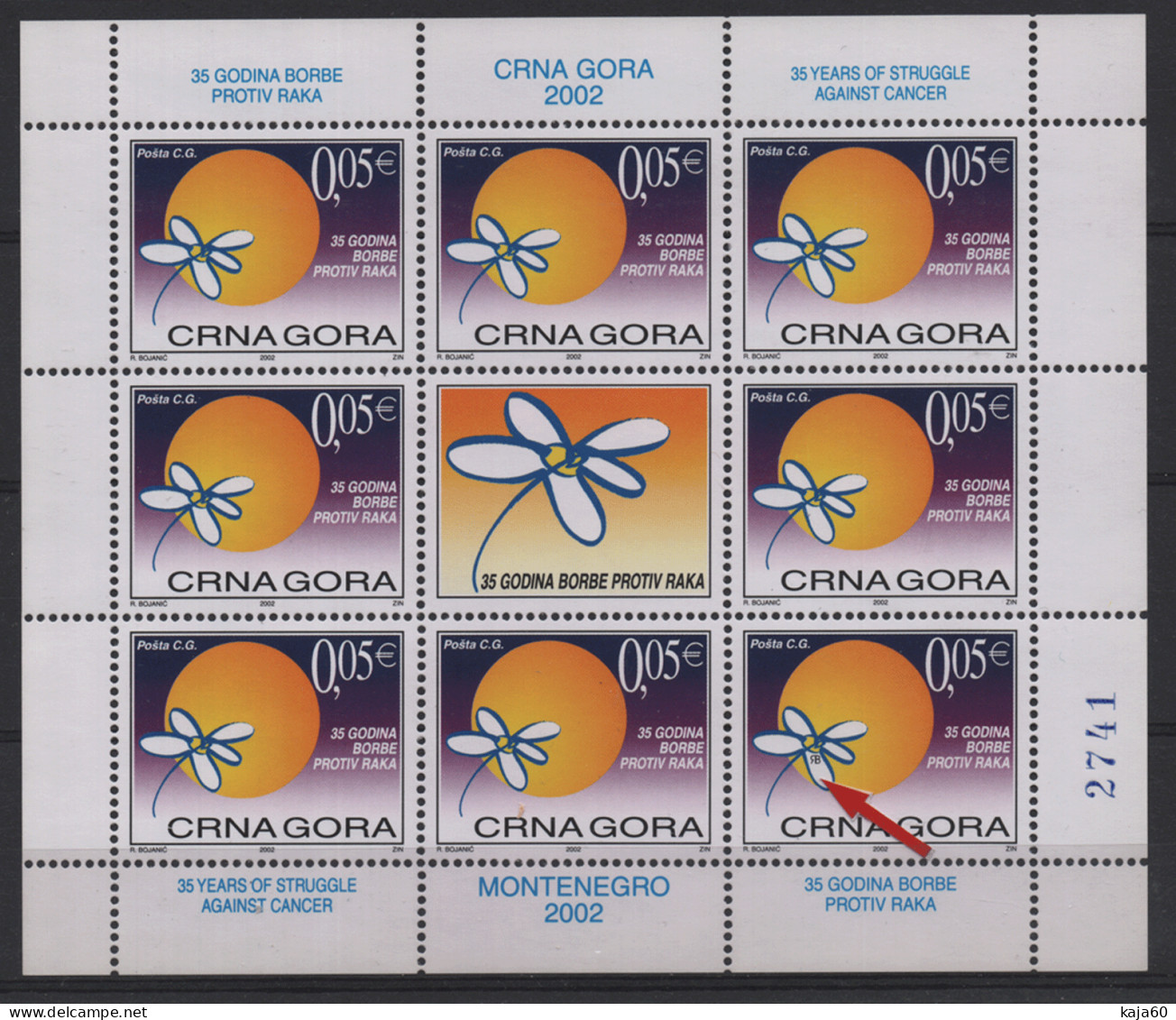 503 Montenegro 2002, Struggle Against Cancer, With Engraver, Sheet, MNH - Montenegro