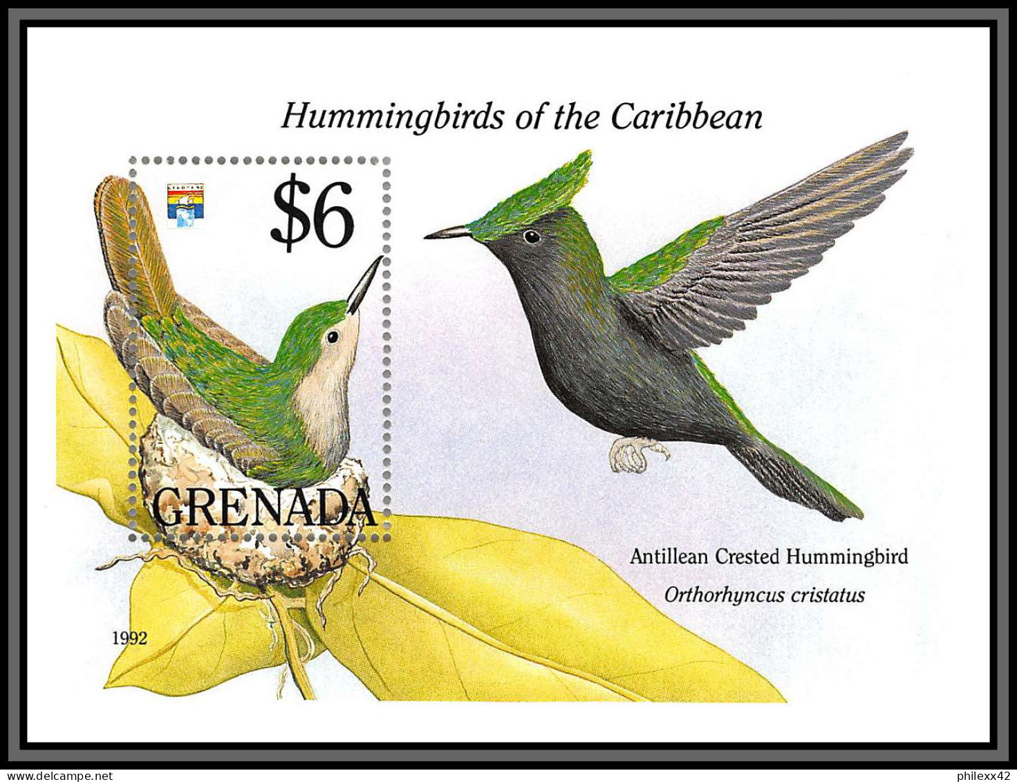 80851 GRENADA Mi N°306 Colibri Huppé Orthorhyncus Cristatus Hummingbirds Of The Caribbean ** MNH Oiseaux Birds 1992 - Segler & Kolibris