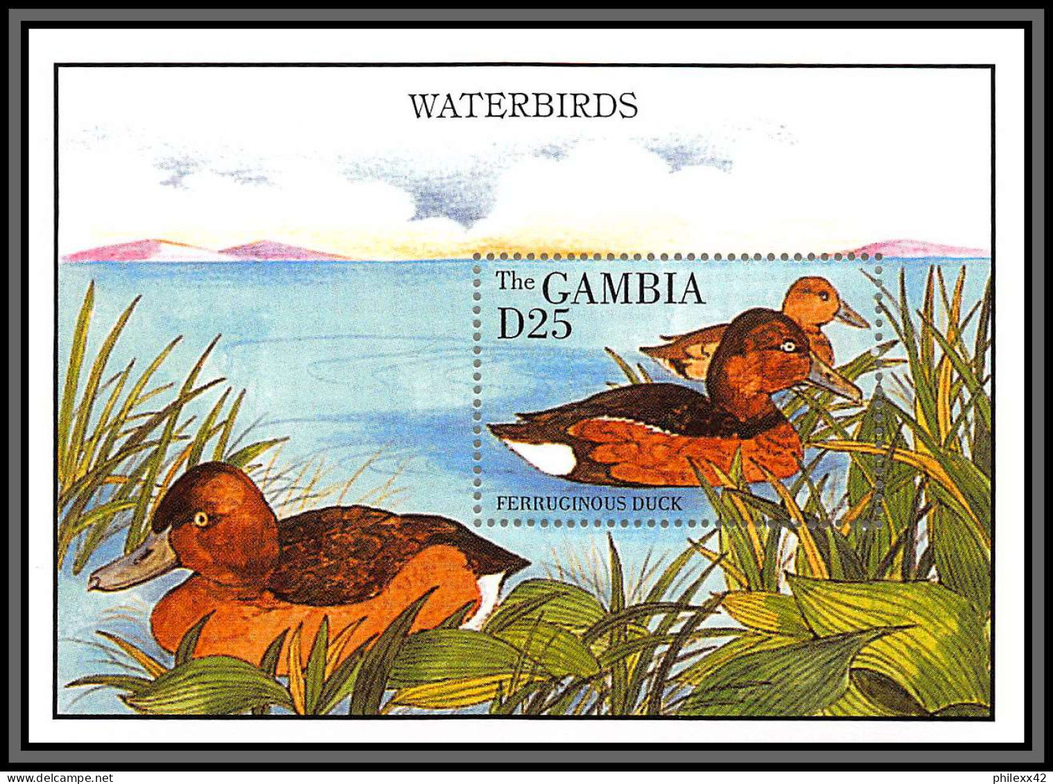 80861 Gambia Gambie Mi N°250  Ferruginous Duck Fuligule Nyroca Canard ** MNH Oiseaux 1991 Waterbirds - Entenvögel