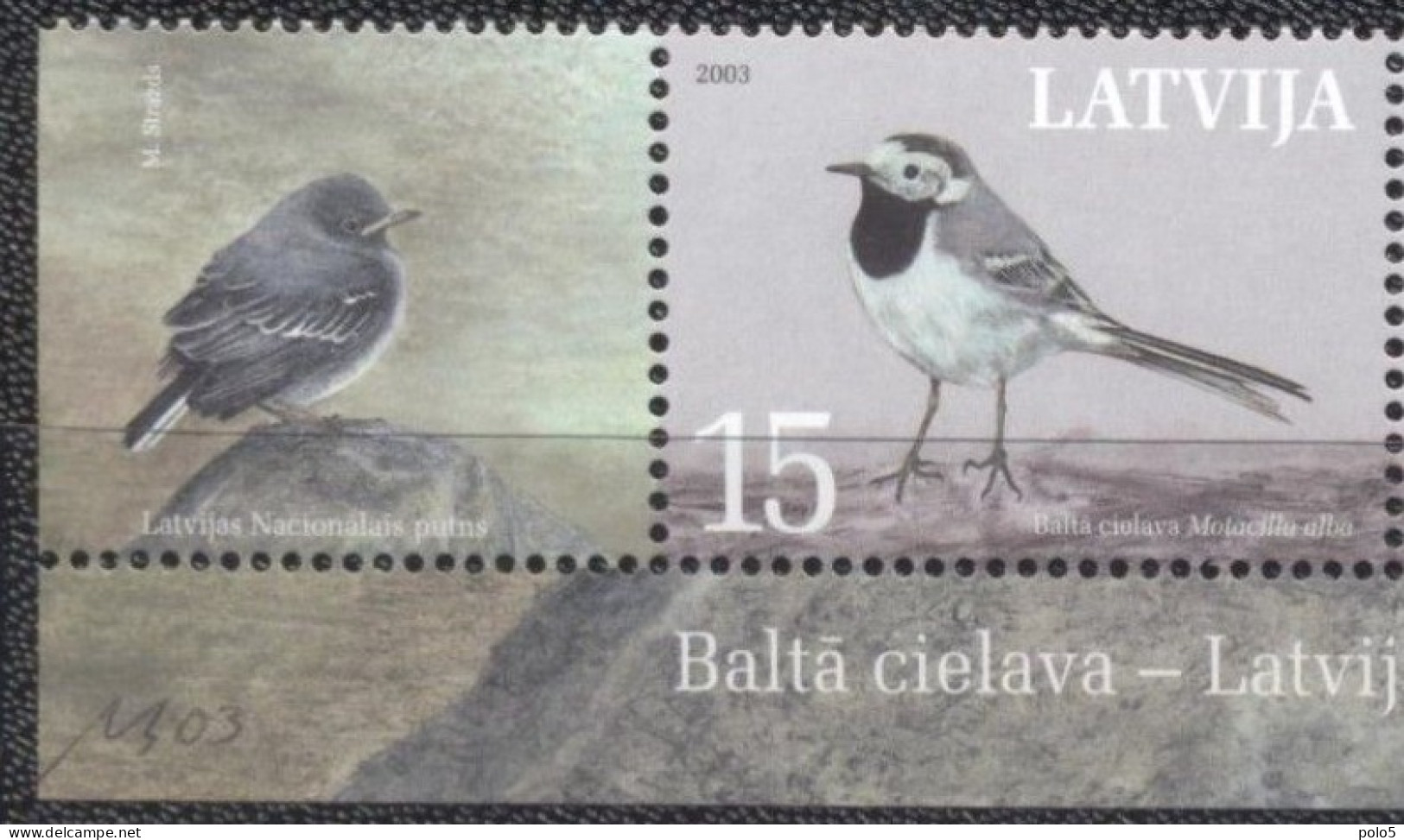 Latvija 2003- National Bird- White Wagtail Set (1v) - Lettland