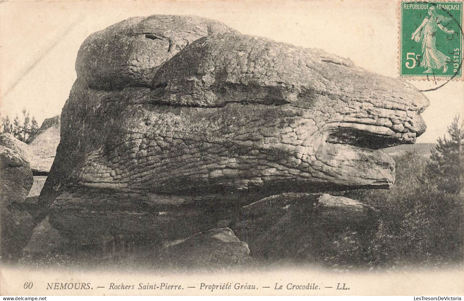 FRANCE - Nemours - Rochers Saint Pierre - Propriété Gréau - Le Crocodile - L L - Carte Postale Ancienne - Nemours