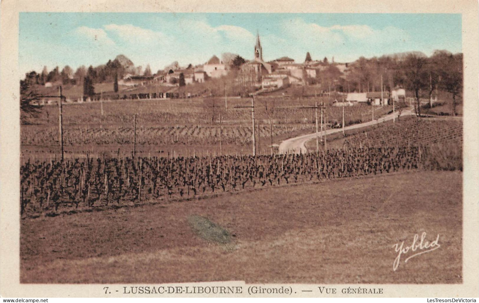 FRANCE - Lussac De Libourne (Gironde) - Vue Générale D'un Grand Champs - Carte Postale Ancienne - Libourne