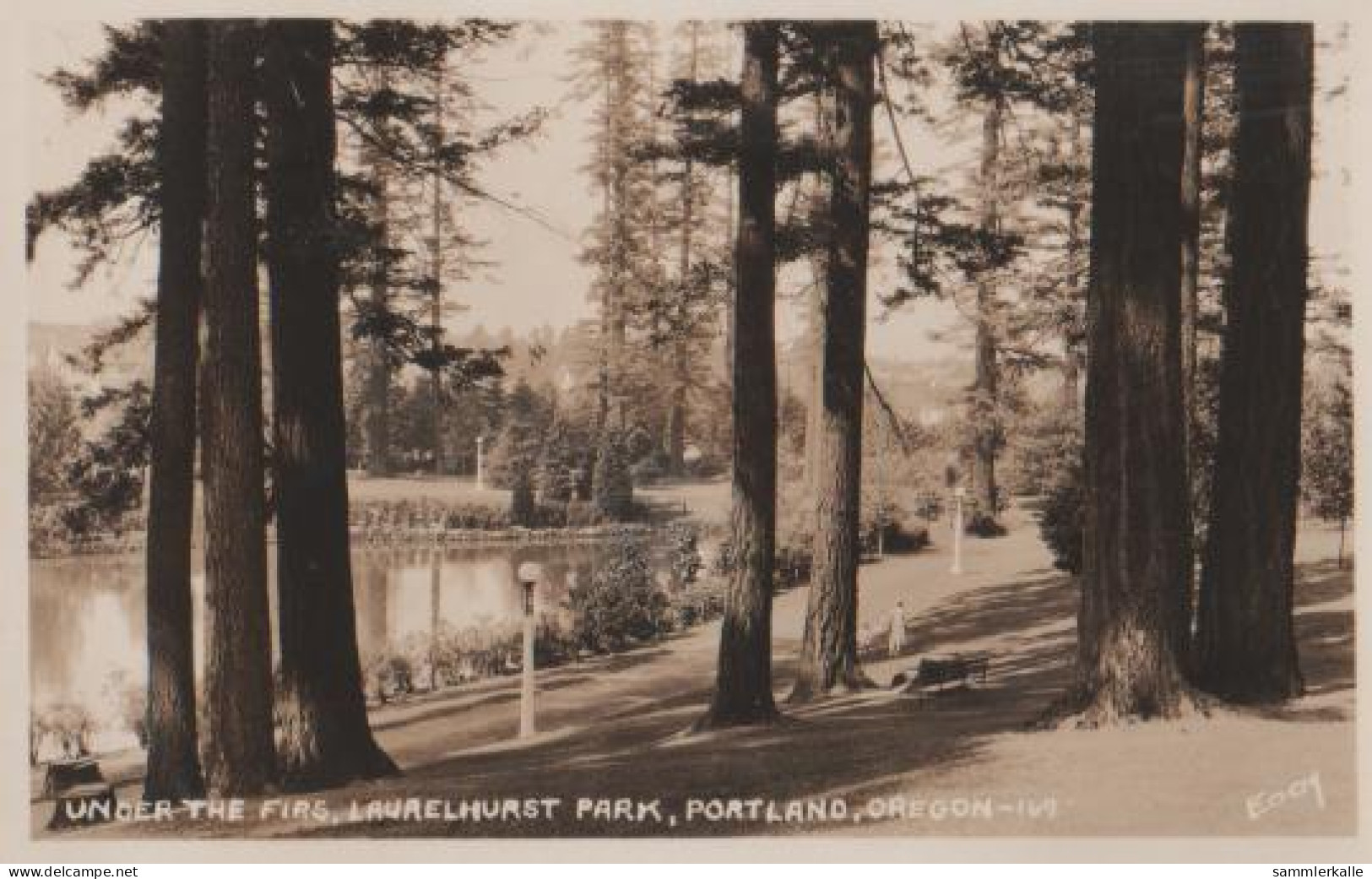 17463 - USA - Portland Oregon - Laurelhurst Park - Ca. 1955 - Sonstige & Ohne Zuordnung
