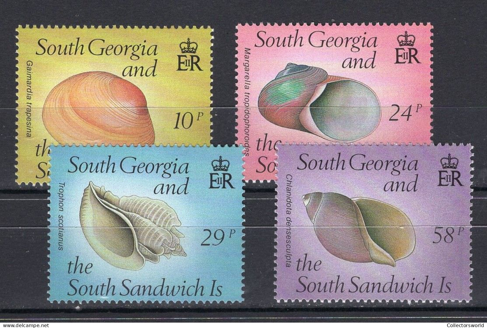 Souith Georgia & South Sandwich Is Serie 4v 1988 Snails Mussels Shells MNH - Schalentiere