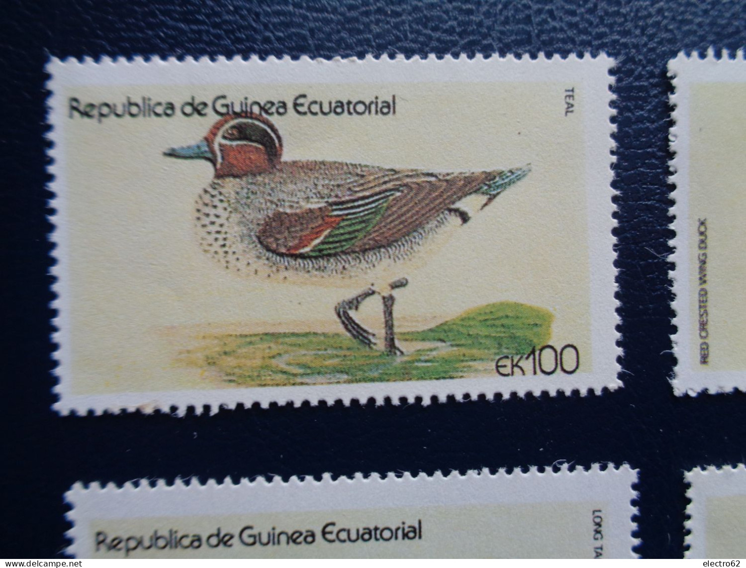 Guinée Equatoriale Canard Duck Ente Pato Anatra Eend Giappone And Guinea Ecuatorial - Anatre