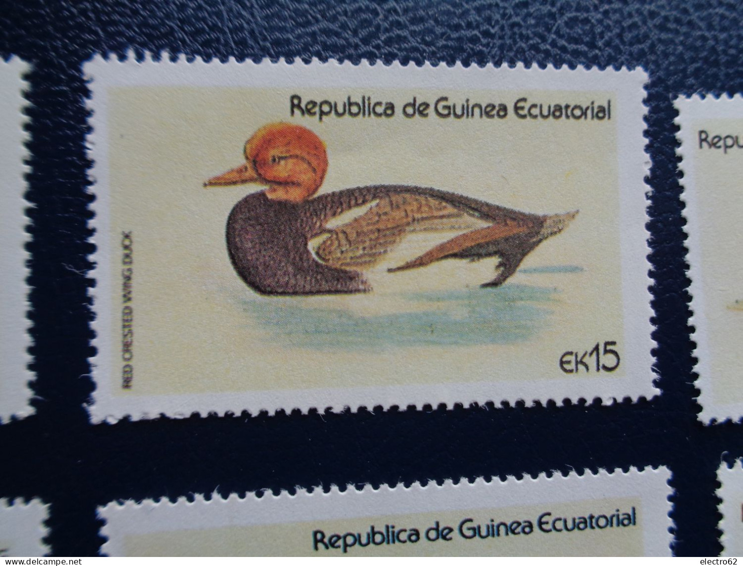 Guinée Equatoriale Canard Duck Ente Pato Anatra Eend Giappone And Guinea Ecuatorial - Ducks