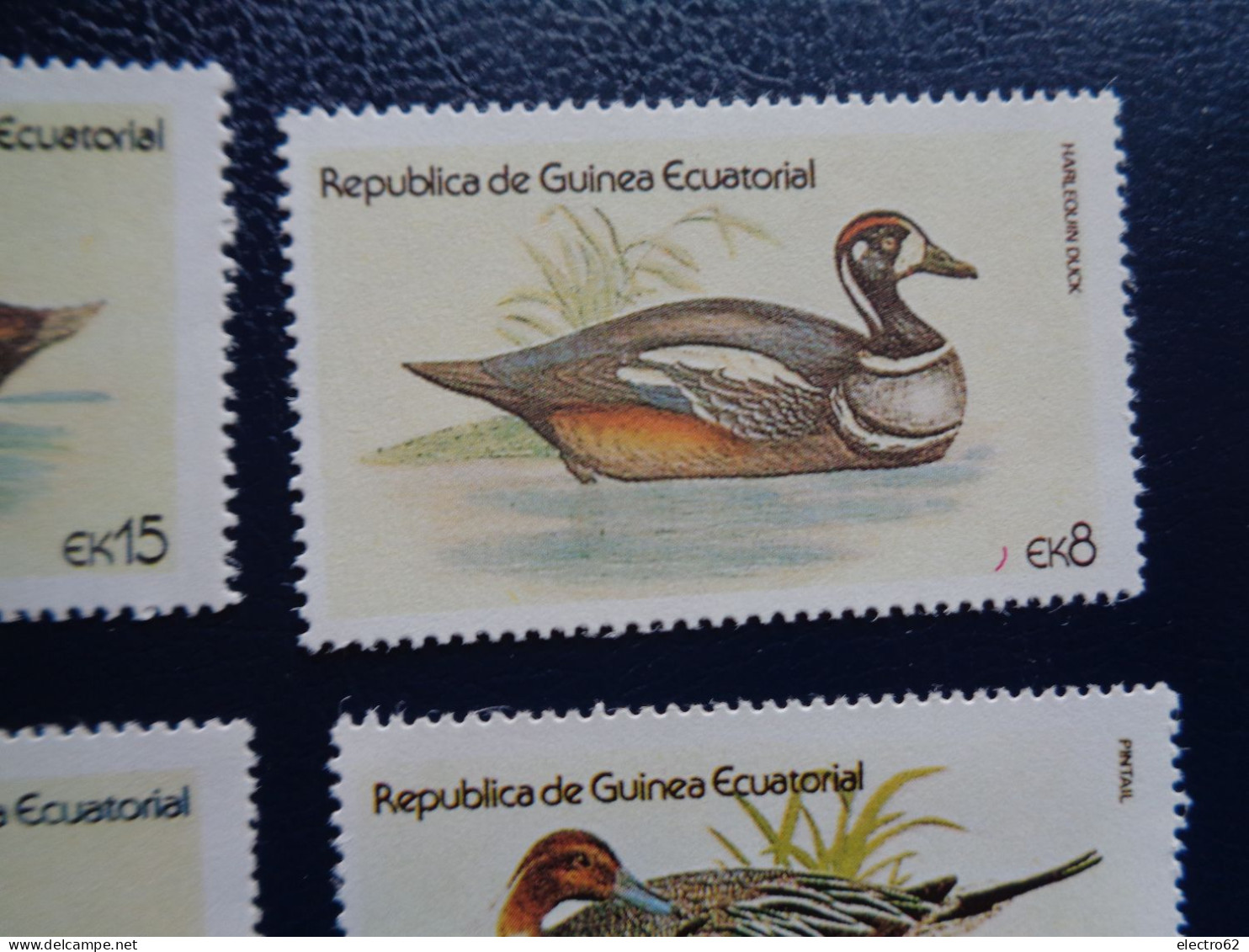 Guinée Equatoriale Canard Duck Ente Pato Anatra Eend Giappone And Guinea Ecuatorial - Canards