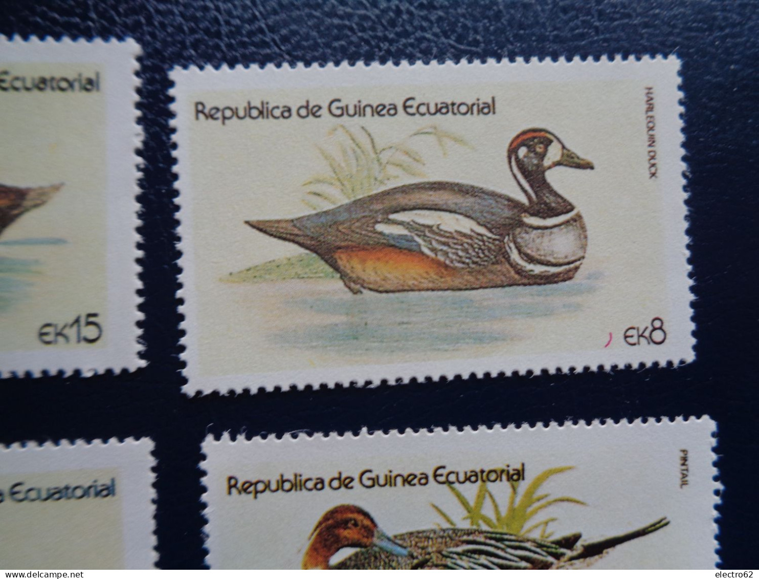 Guinée Equatoriale Canard Duck Ente Pato Anatra Eend Giappone And Guinea Ecuatorial - Anatre