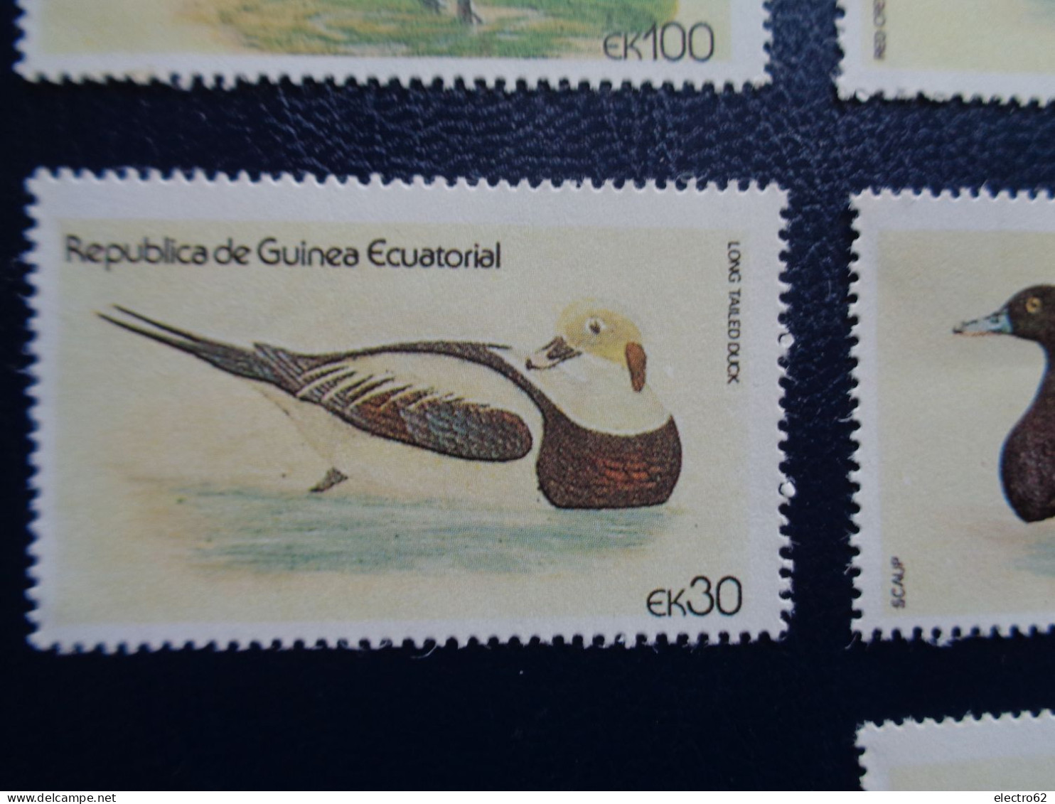 Guinée Equatoriale Canard Duck Ente Pato Anatra Eend Giappone And Guinea Ecuatorial - Patos