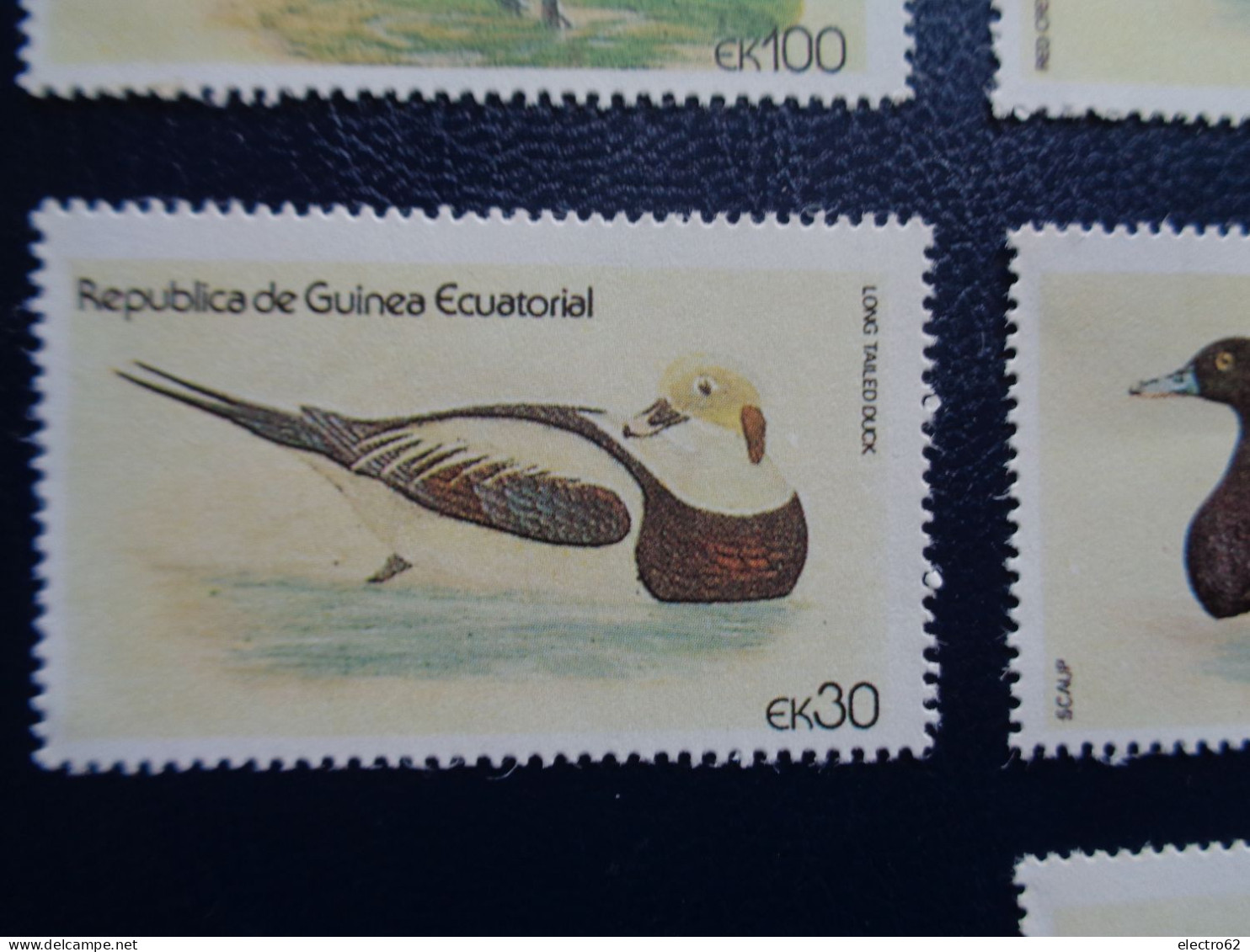 Guinée Equatoriale Canard Duck Ente Pato Anatra Eend Giappone And Guinea Ecuatorial - Eenden