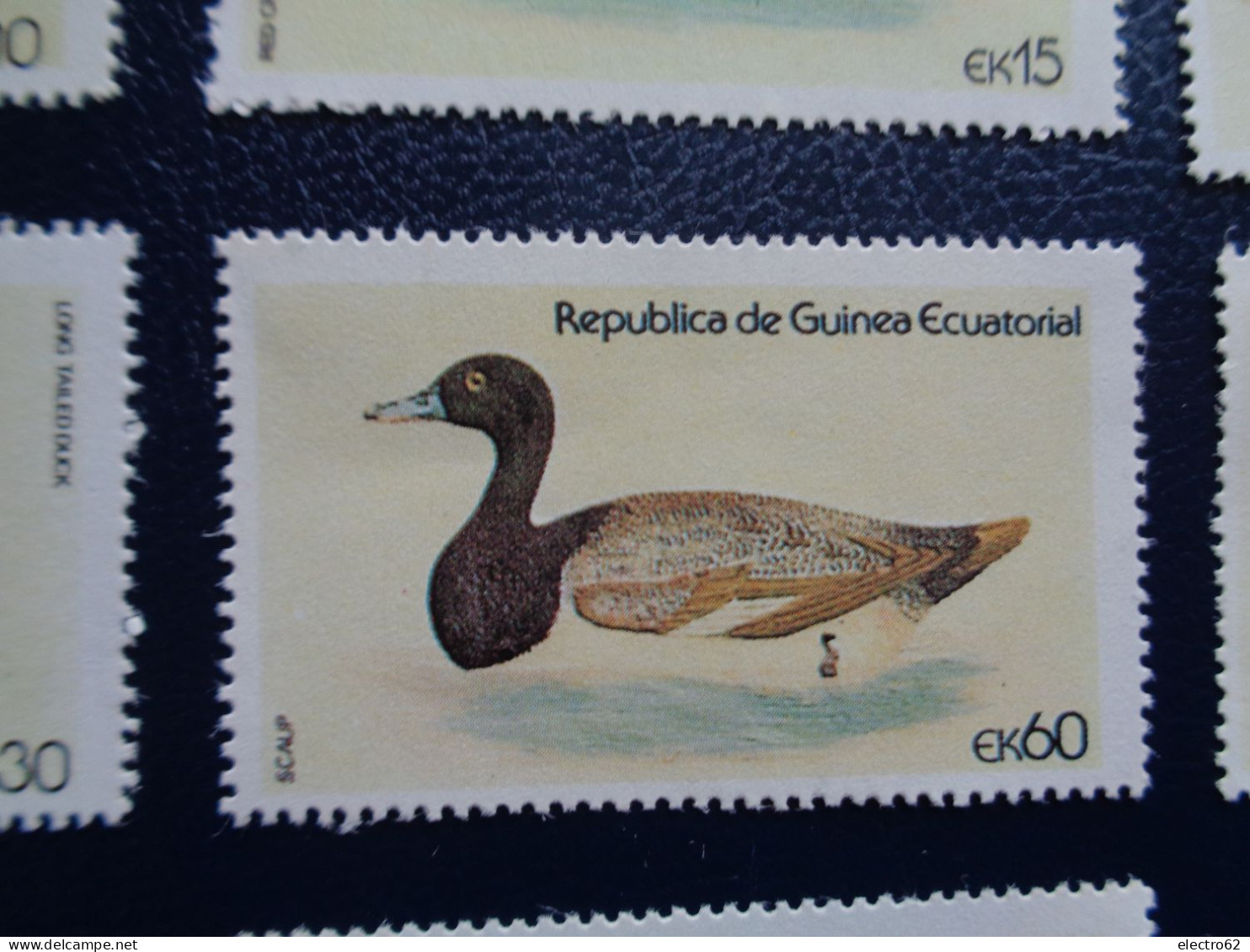 Guinée Equatoriale canard duck ente pato anatra eend giappone and Guinea Ecuatorial