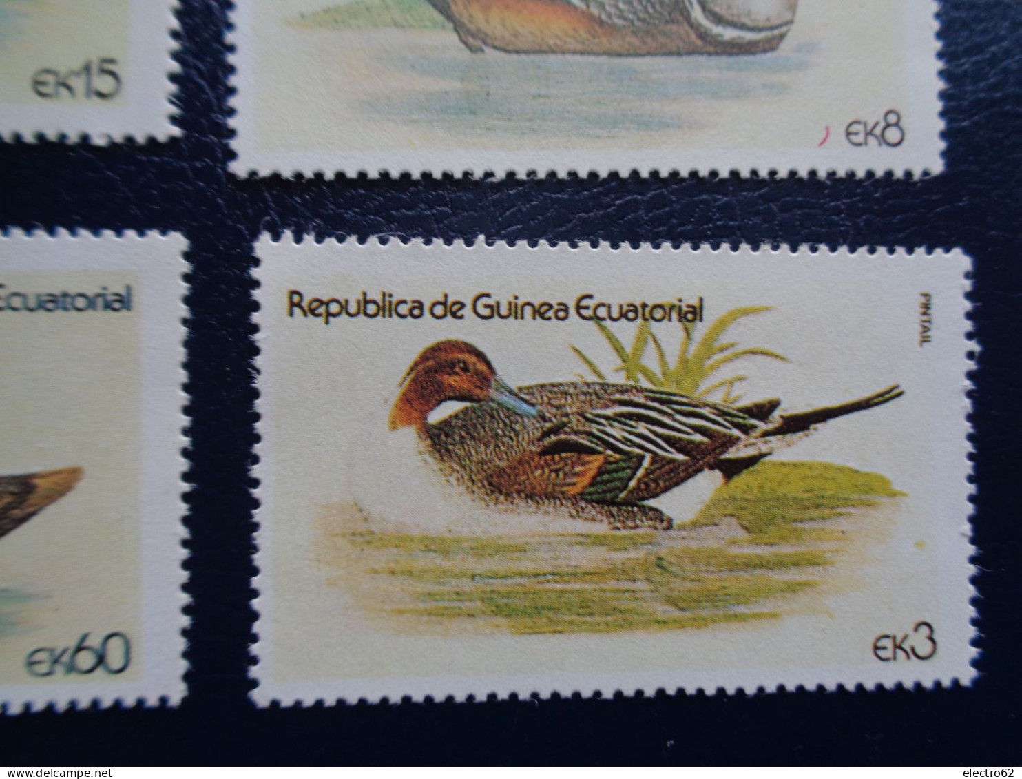 Guinée Equatoriale canard duck ente pato anatra eend giappone and Guinea Ecuatorial