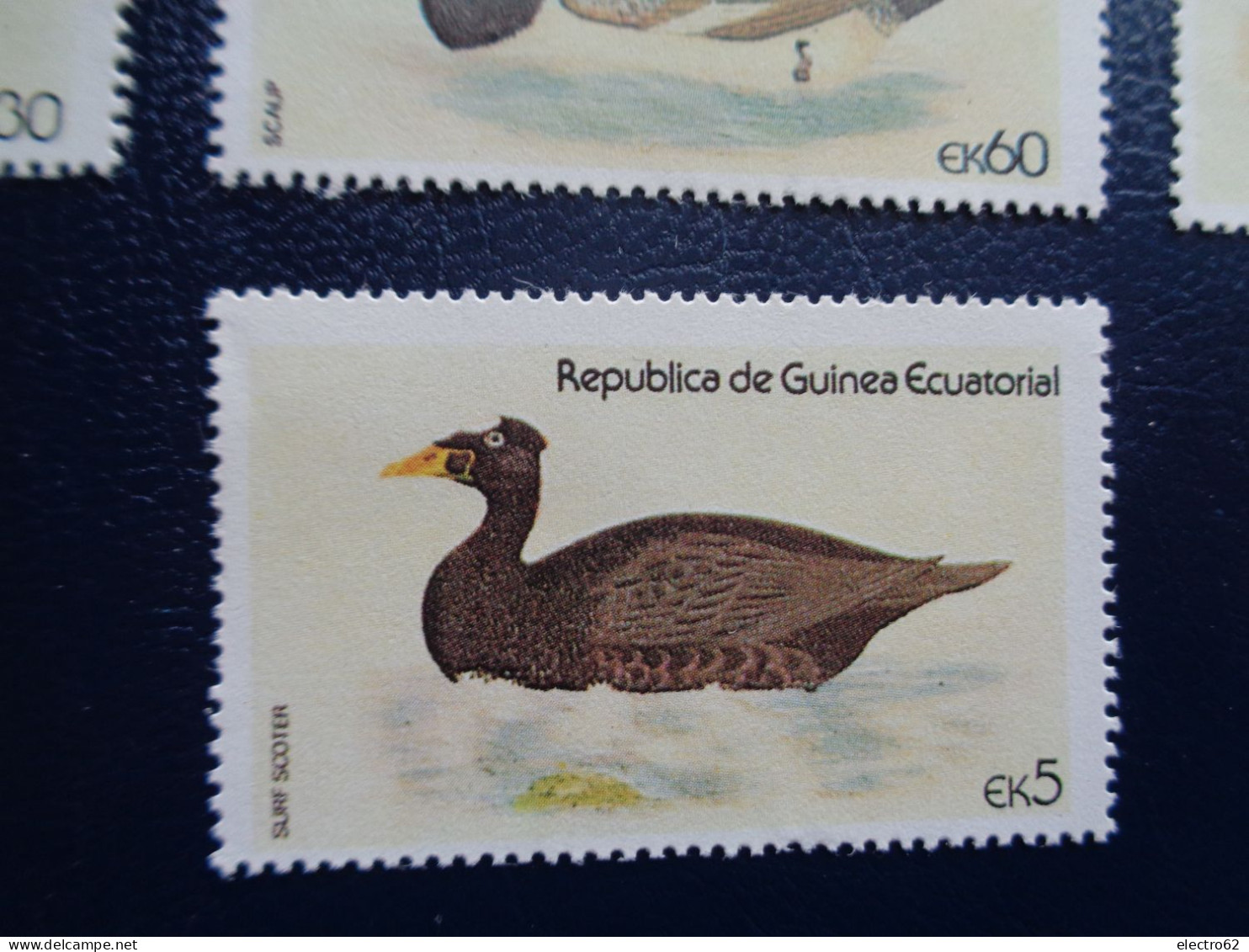 Guinée Equatoriale canard duck ente pato anatra eend giappone and Guinea Ecuatorial