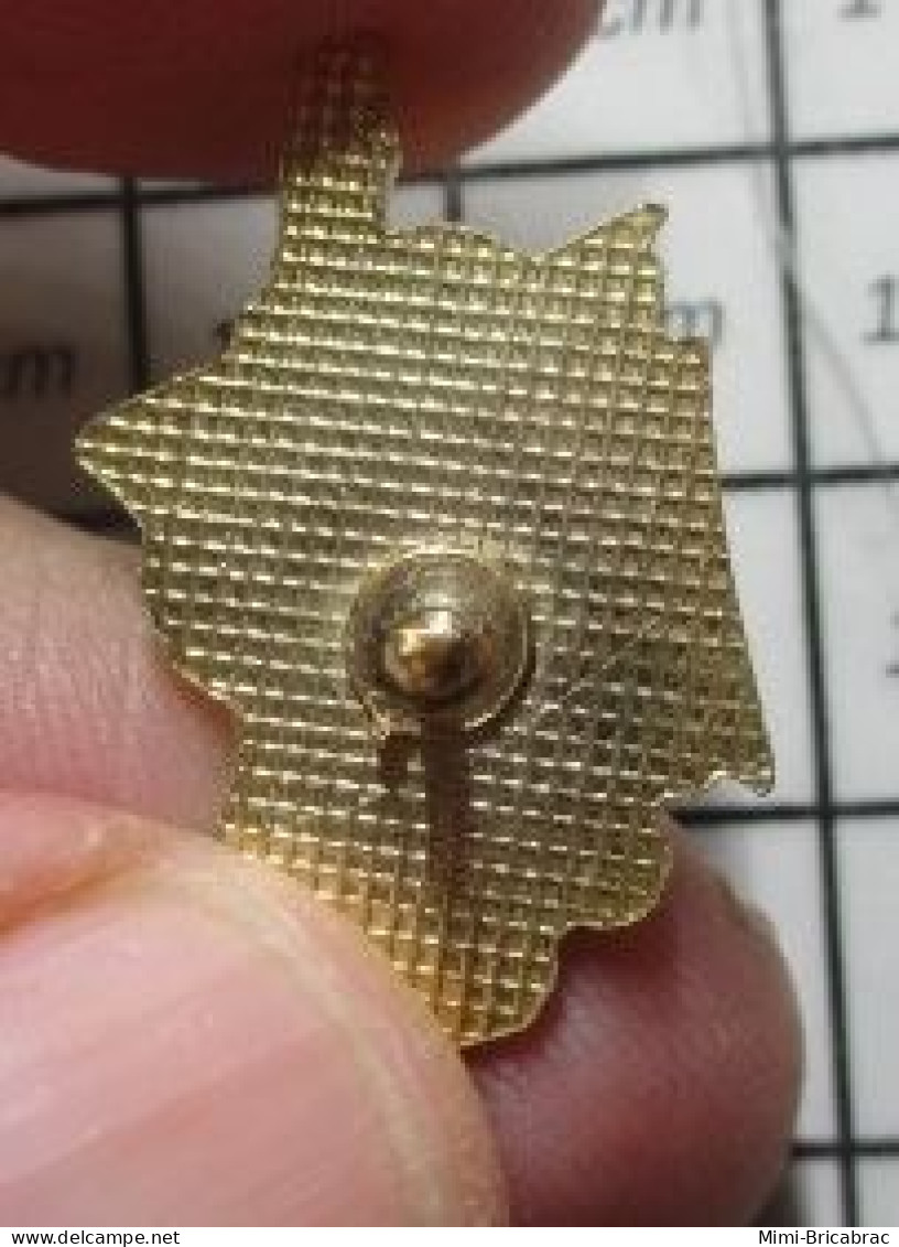 1616B  Pin's Pins / Beau Et Rare / BATEAUX / VOILIER VOILE CORSICA CORSE - Schiffahrt