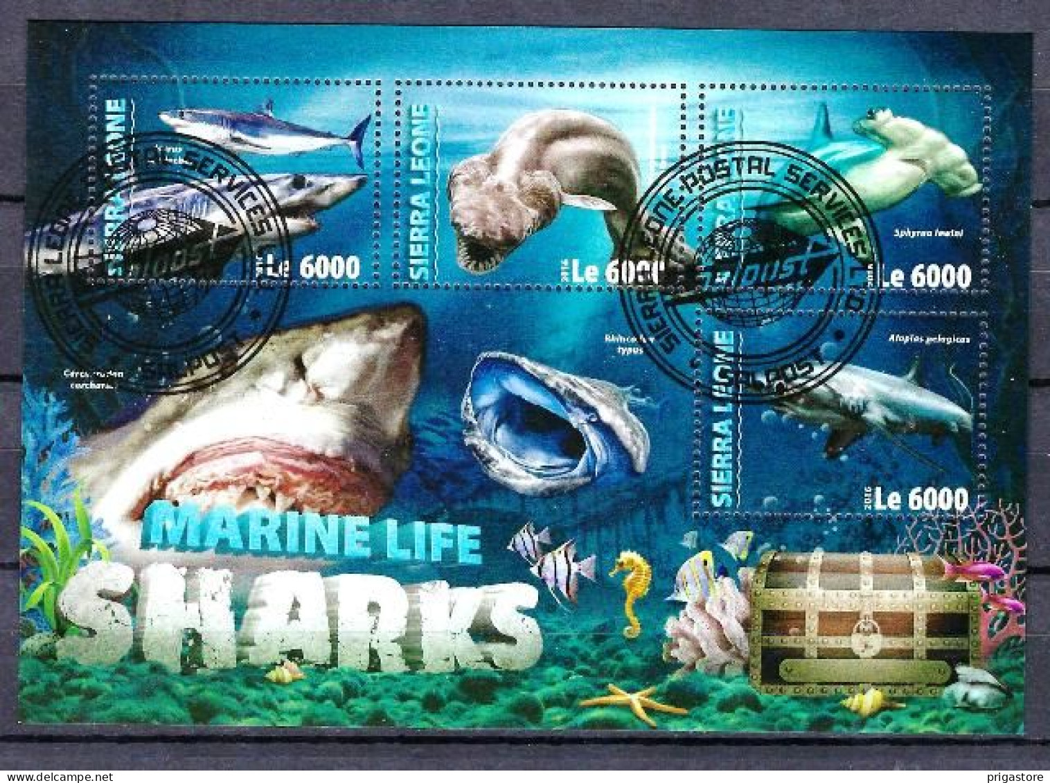 Sierra Leone 2016 Animaux Requins (300) Yvert N° 5829 à 5832 Oblitérés Used - Sierra Leone (1961-...)