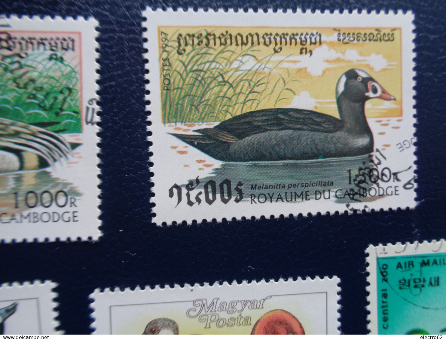 Roumanie  Cambodge Canard Duck Ente Pato Anatra Eend Giappone And Hongrie Corée Romana Magyar Posta Korea - Canards