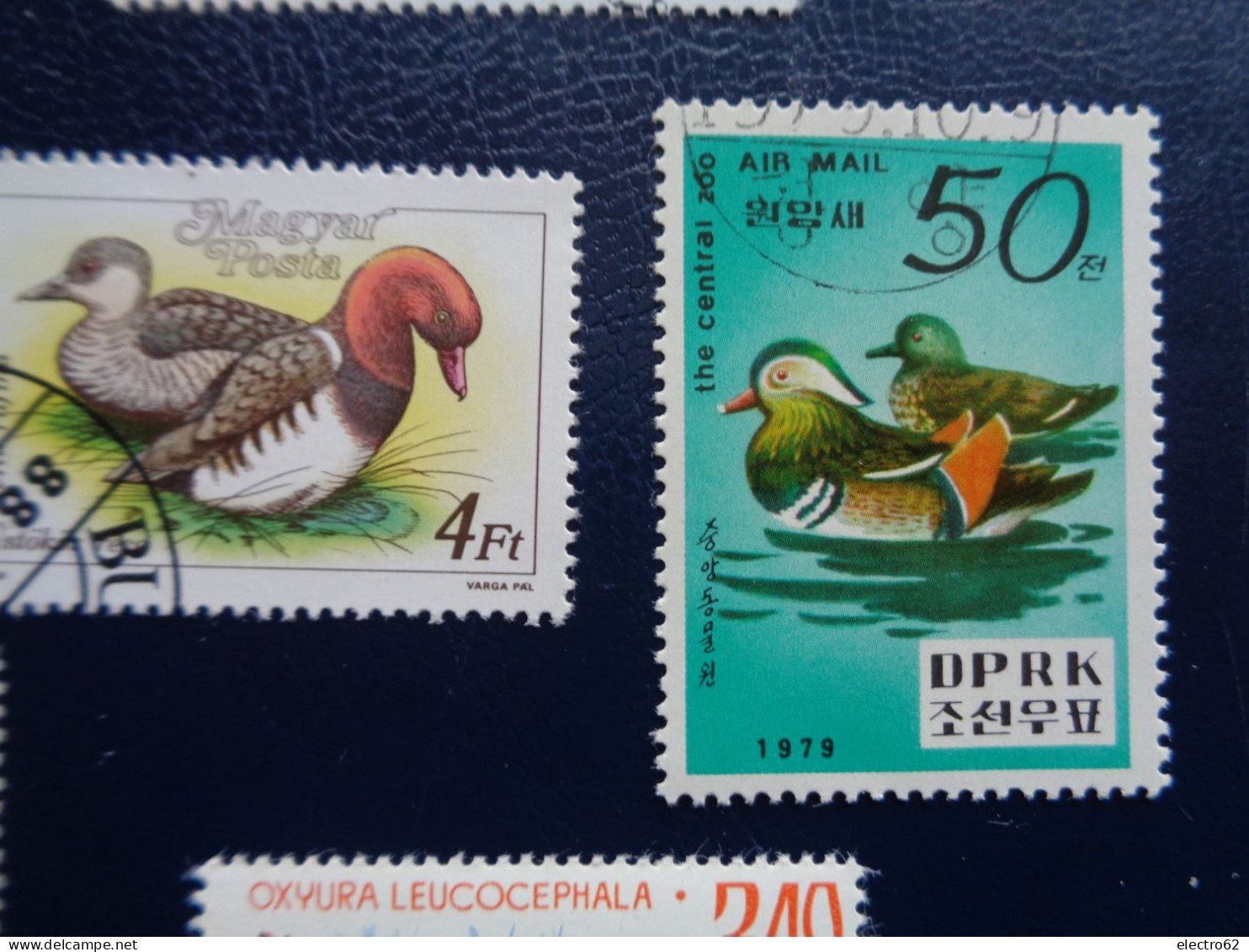 Roumanie  Cambodge canard duck ente pato anatra eend giappone and Hongrie Corée Romana Magyar posta Korea