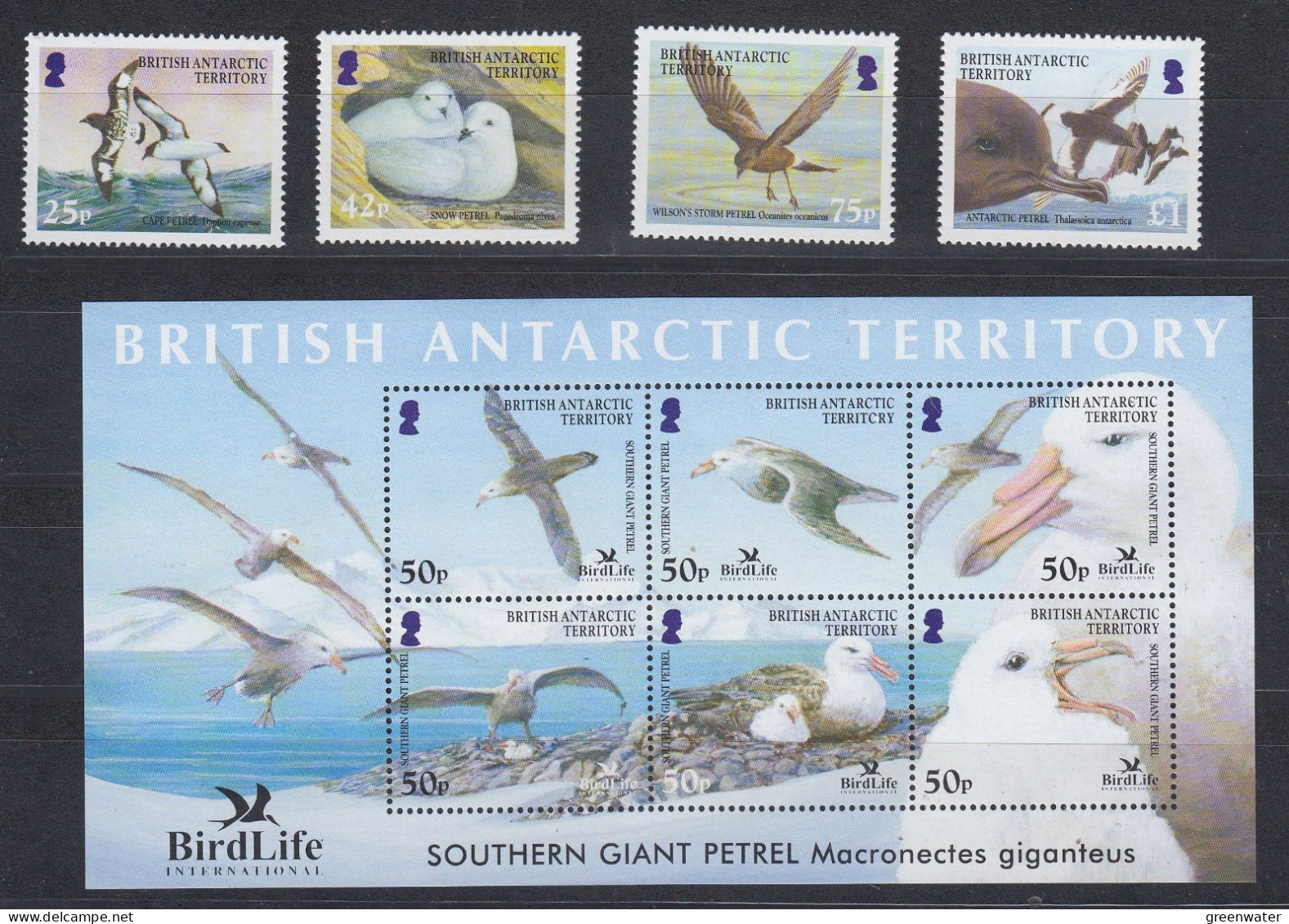 British Antarctic Territory (BAT) 2005 Petrels 4v + M/s ** Mnh (ZO160) - Brieven En Documenten