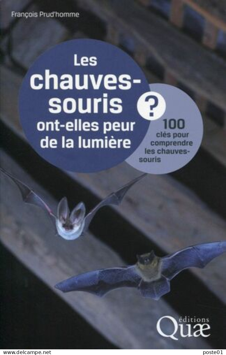 Les Chauves-souris Ont-elles Peur De La Lumière ? : 100 Clés Pour Comprendre Les Chauves-souris - Natur