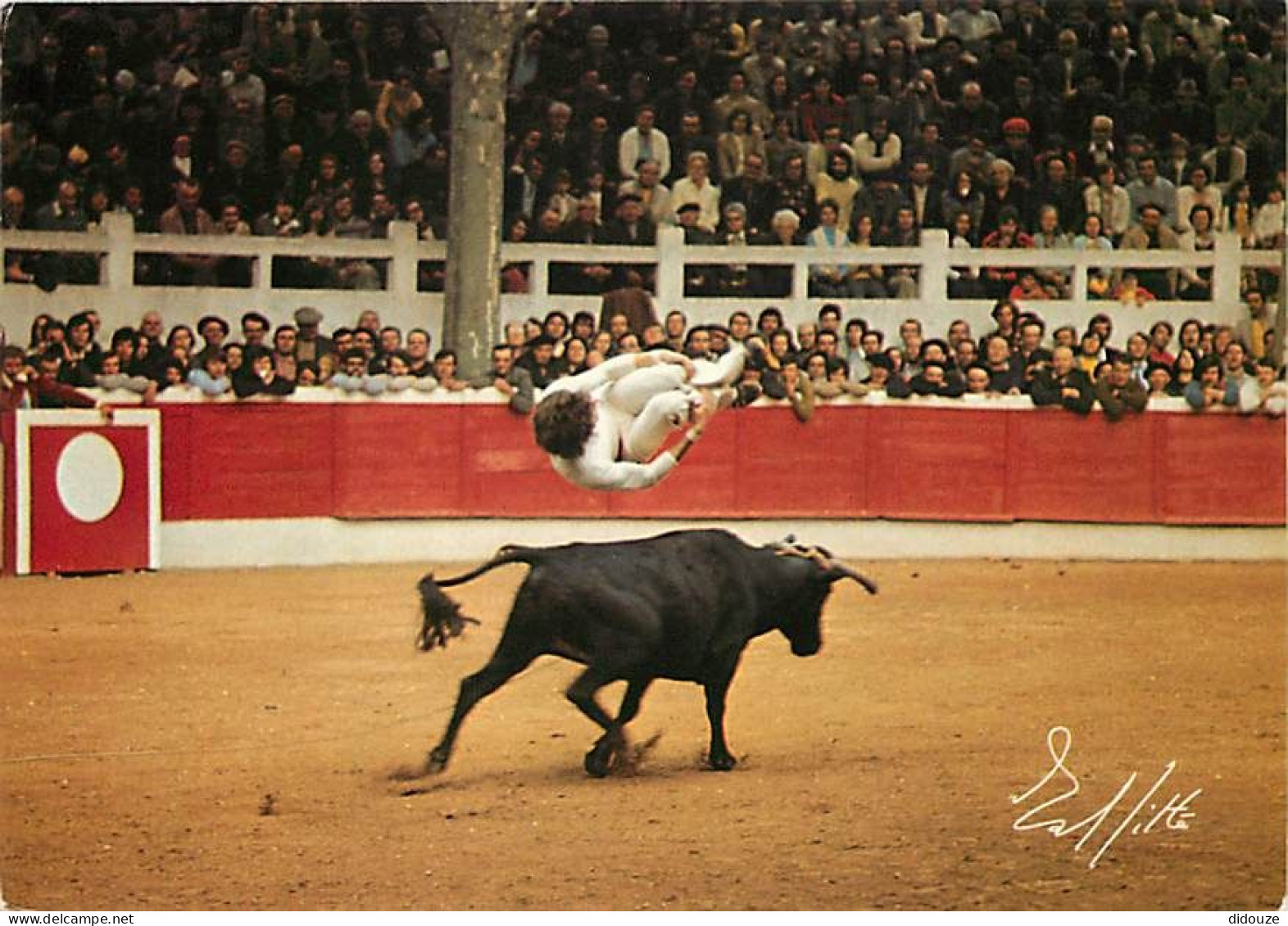 Corrida - La Course Landaise - Le Saut Au-dessus De La Coursière Est Un Exercice Prisé De La Course Landaise - Agruna Ic - Corridas